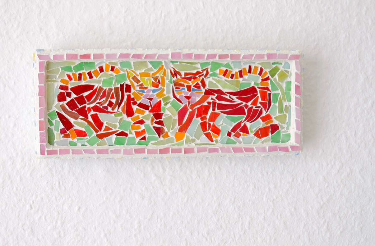 Kitties  - Anna Leisner 2