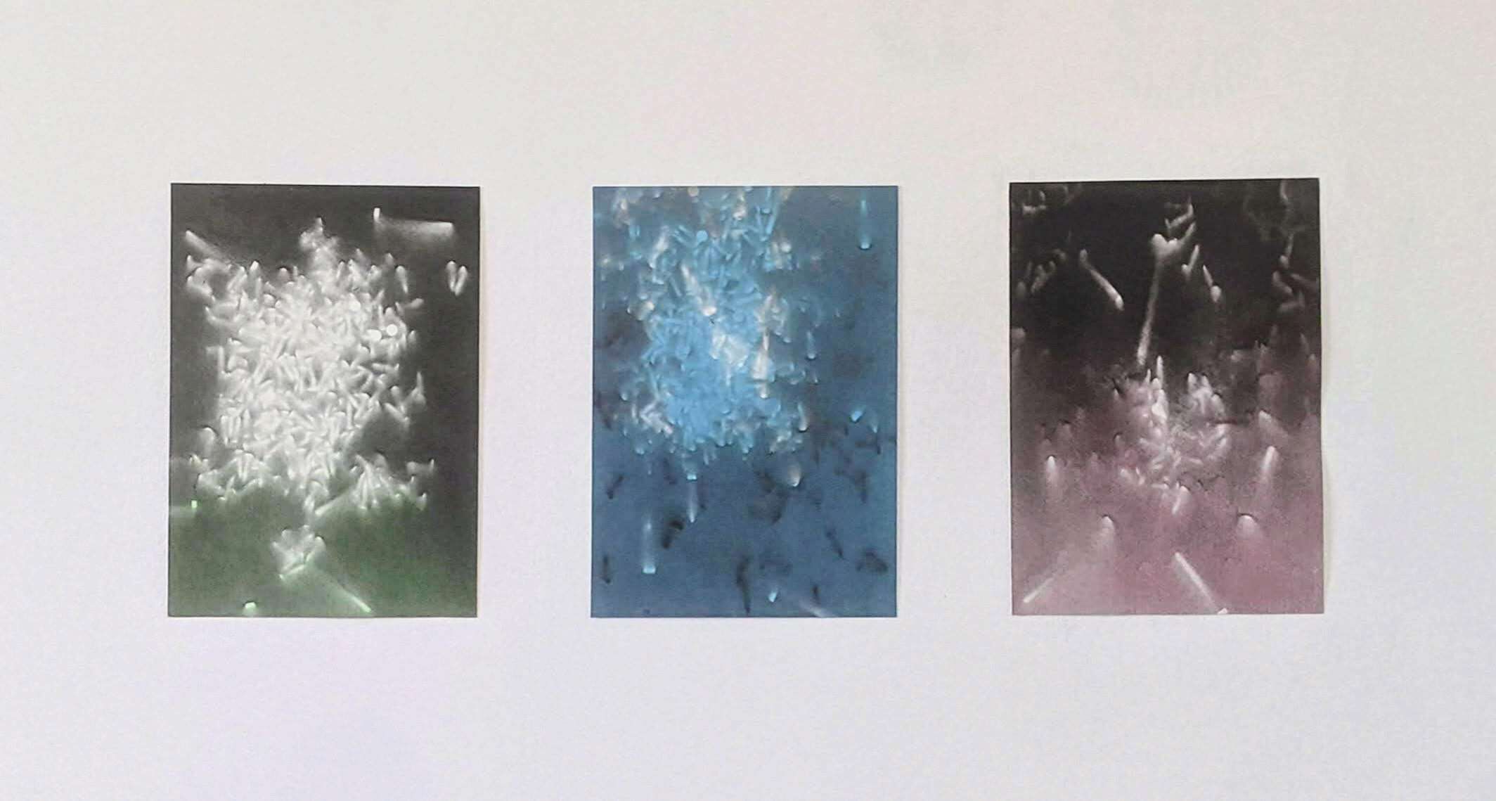 Ohne Titel No. 3 - Gwenda Bertermann 1