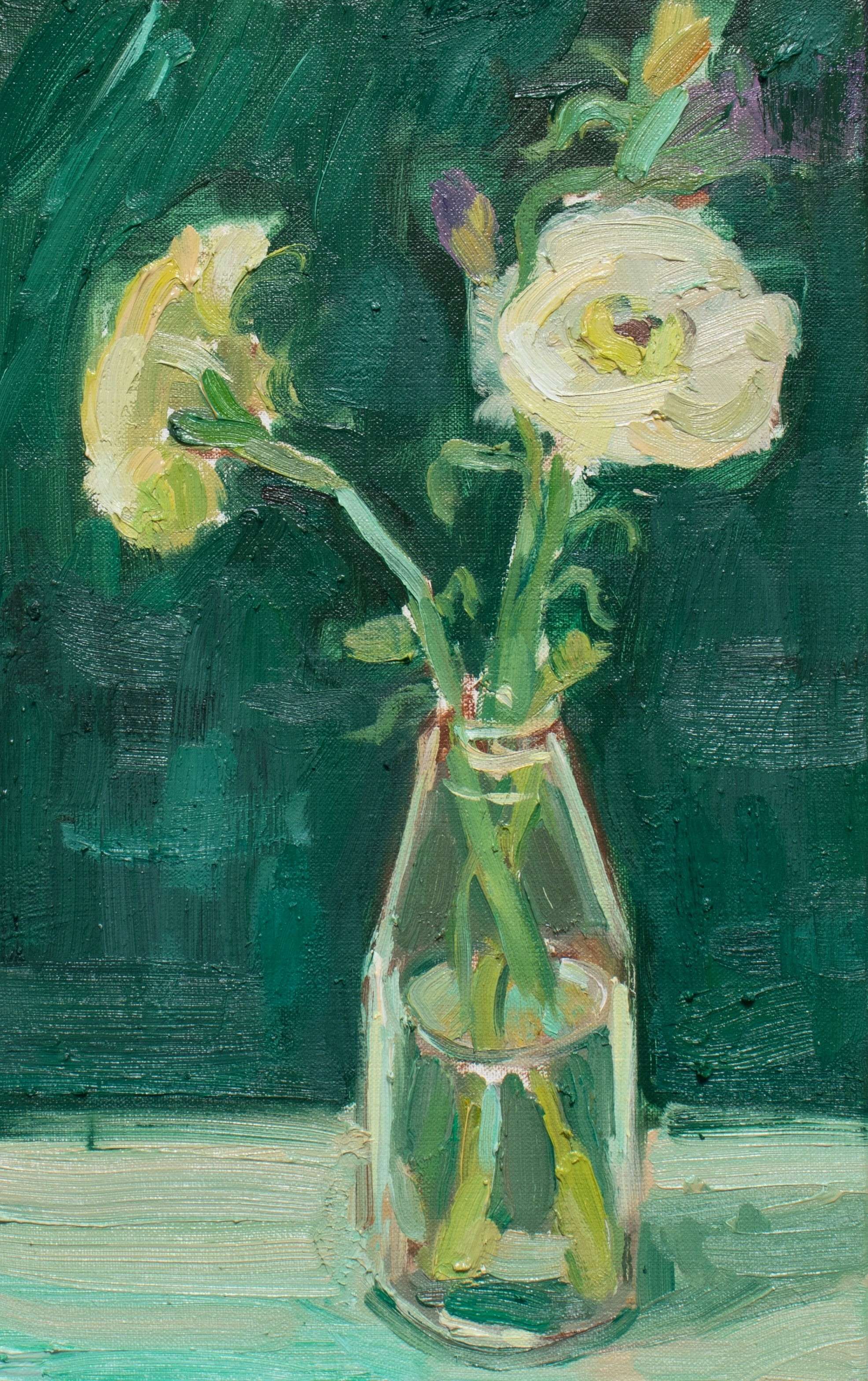 Gerbera - Quang Minh Tran 1