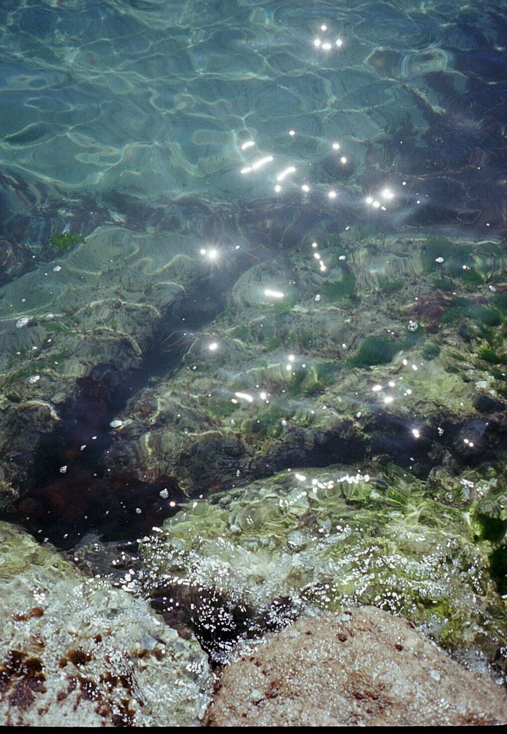 Lido 1 - Luise Oswald 1