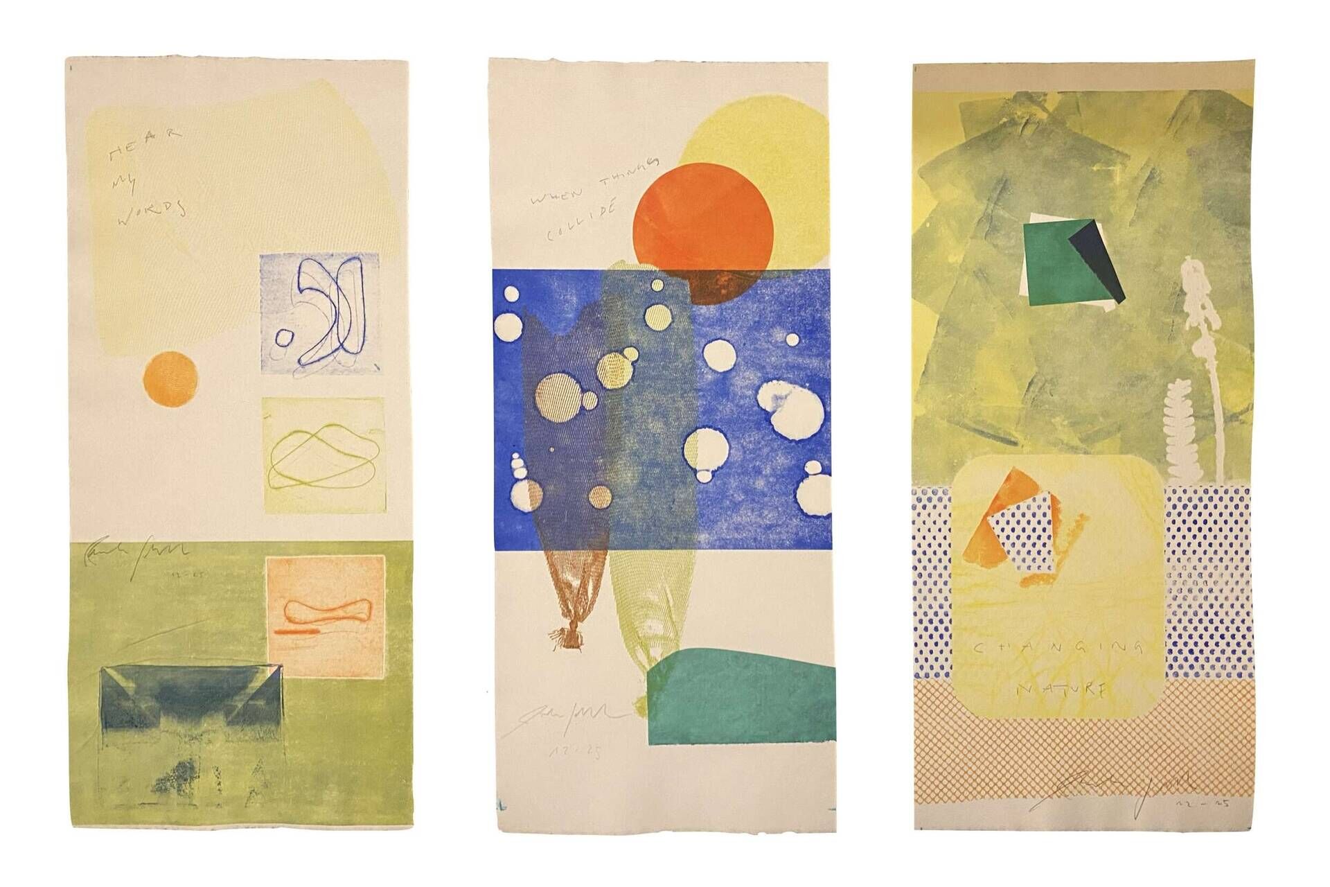 Changing Nature - Paula-Maryla Schmoll 3