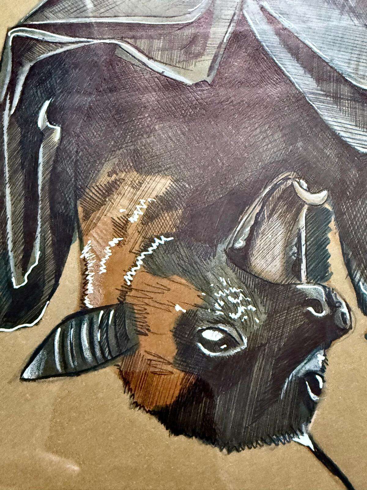 Bats - Laura Küpper 3
