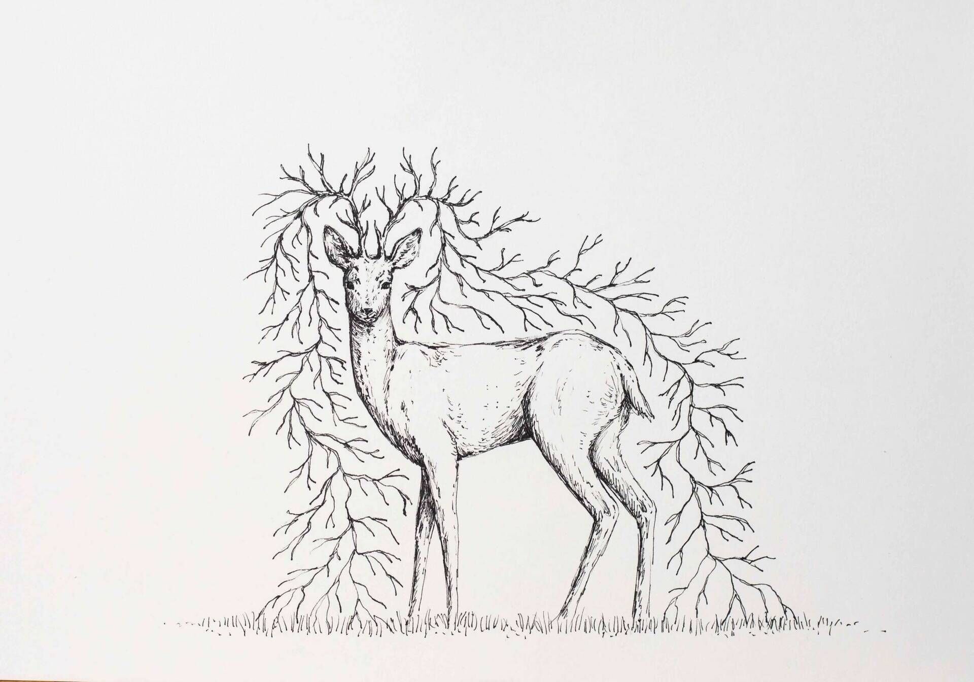 rooted - Alina Beck 1