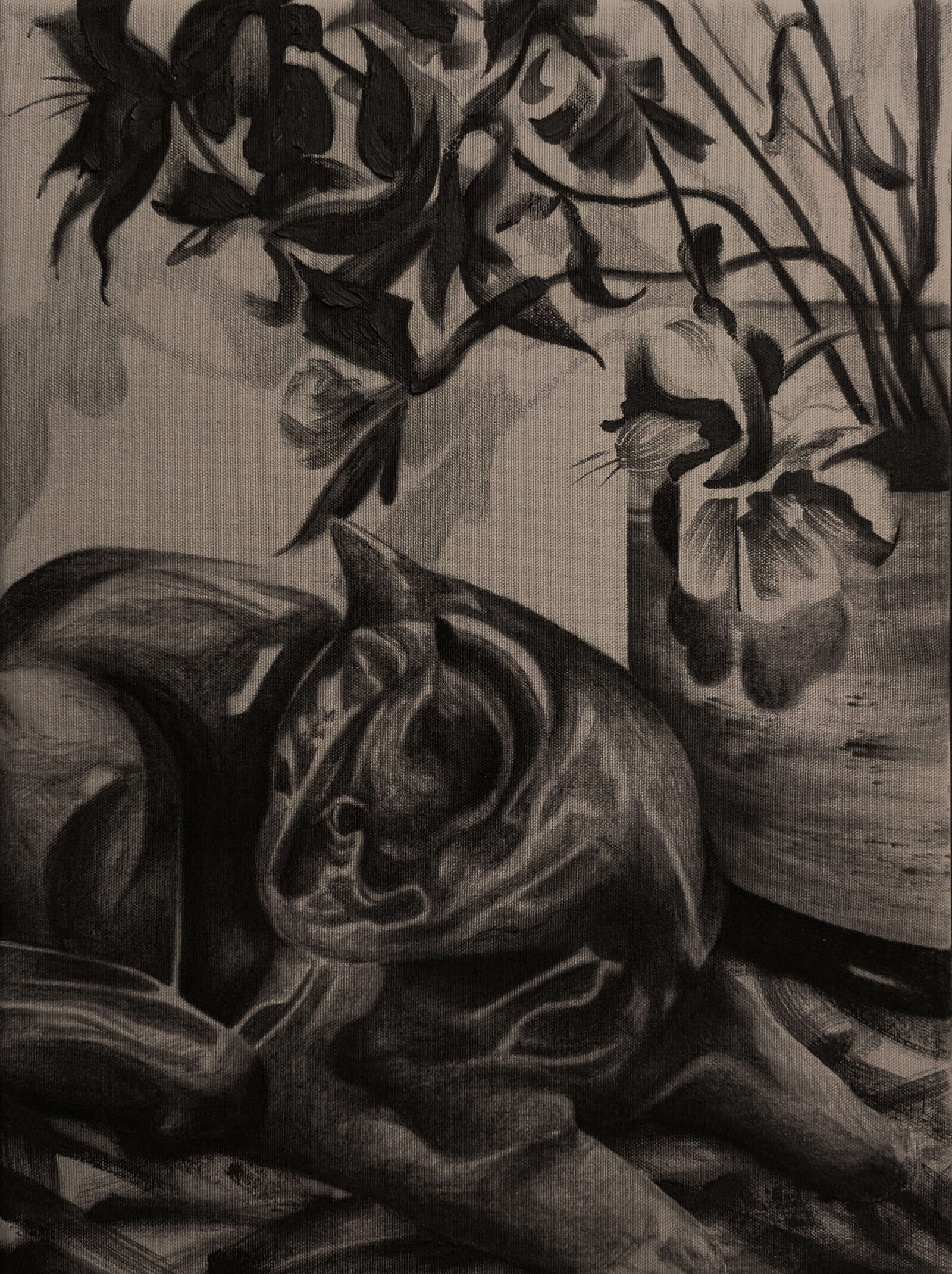 negation of a cat - nikolay petrov 1
