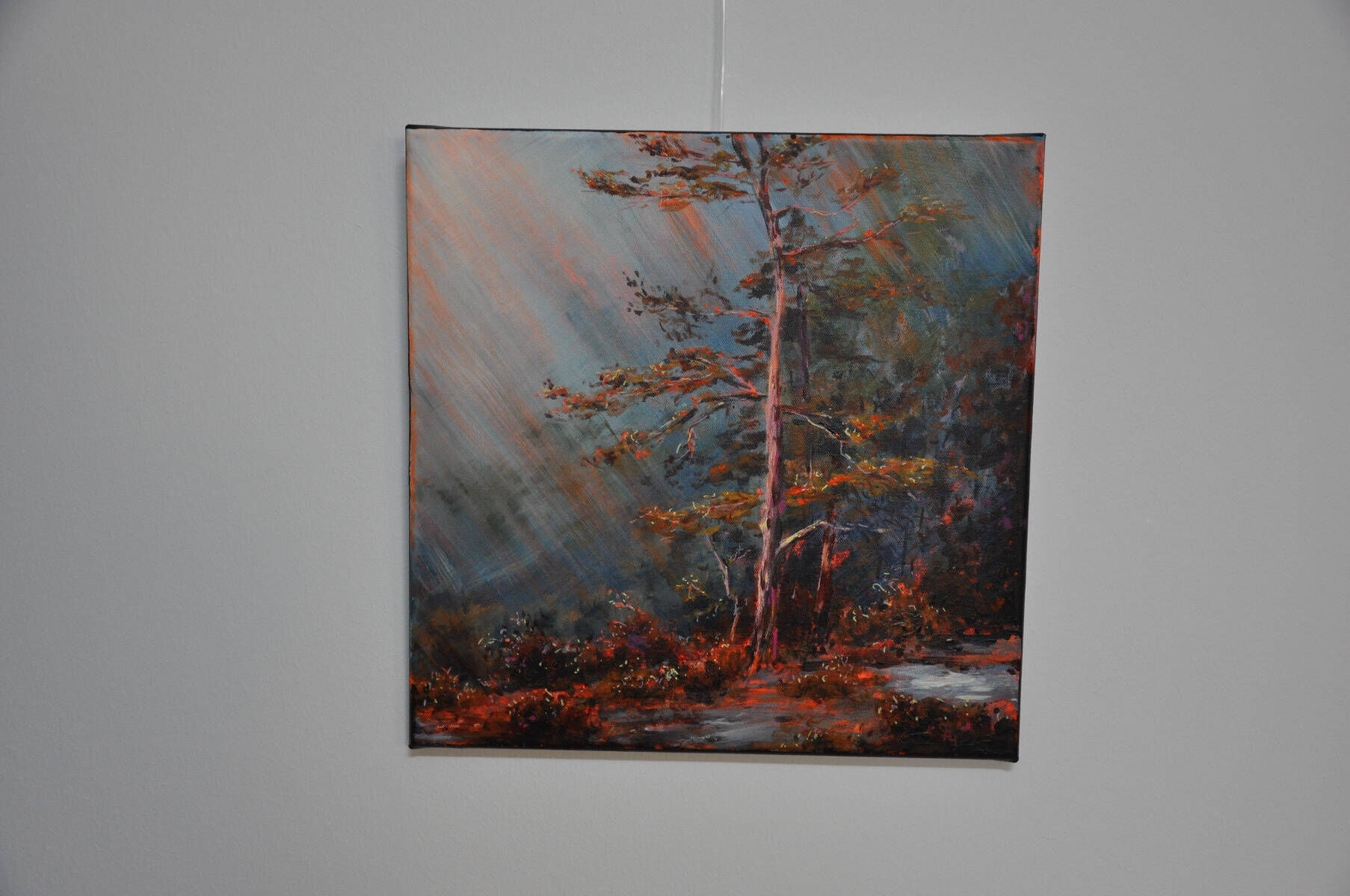 Licht und Nebel