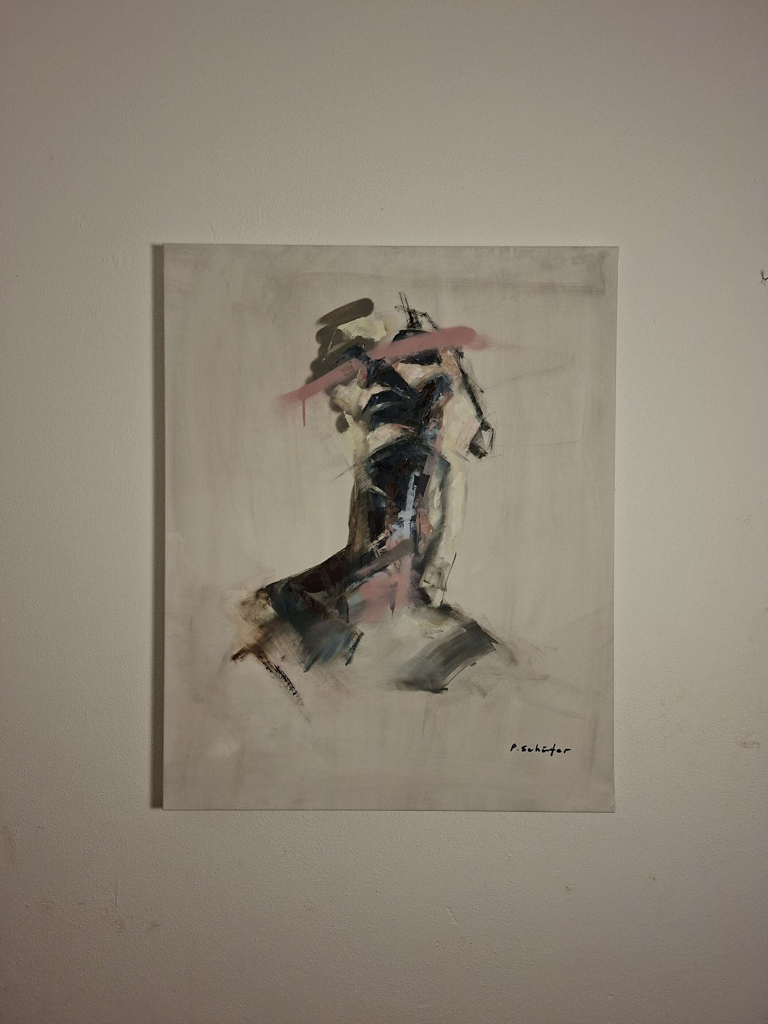 X300 - Paul Schäfer 5