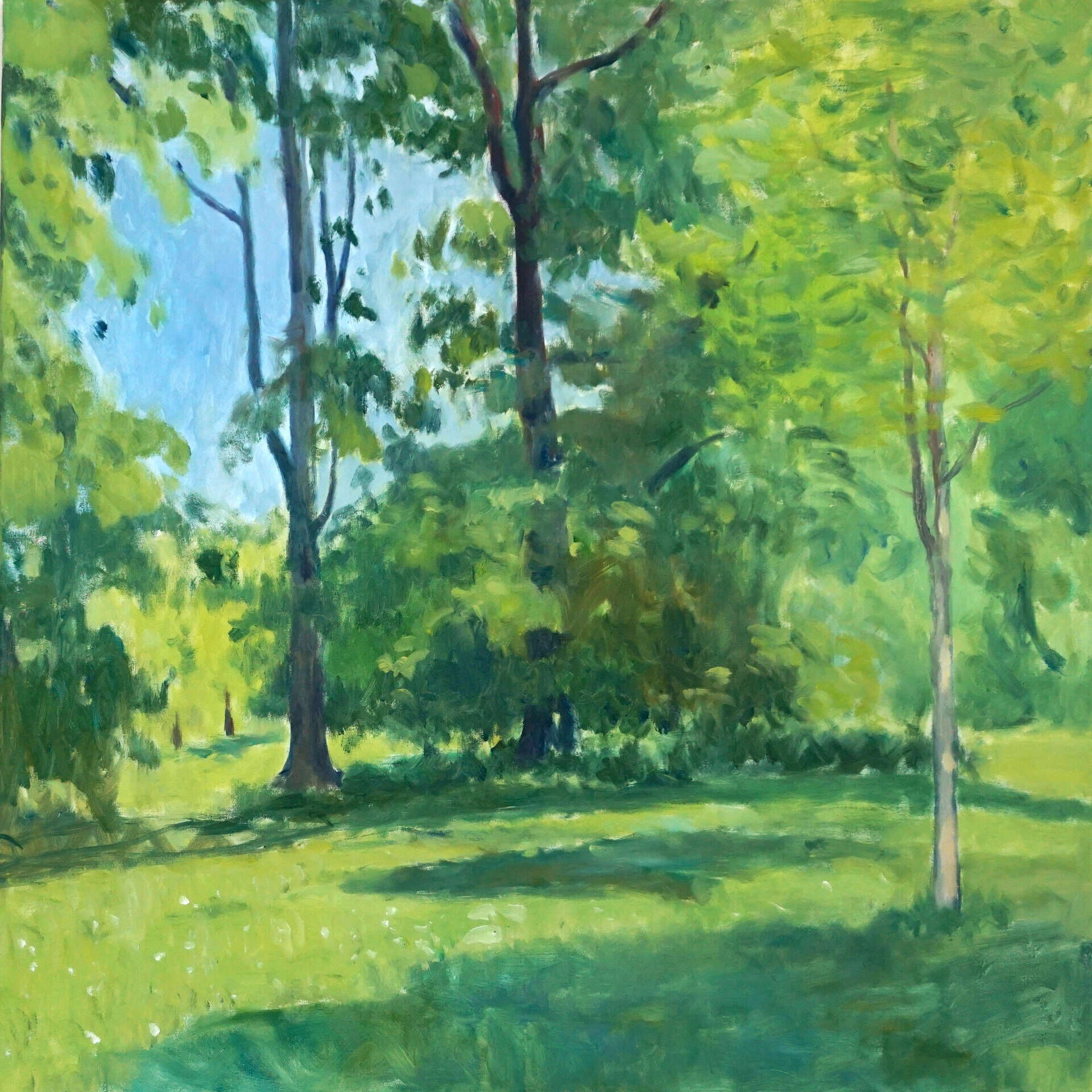 Bäume im Park - Christian Herzig 1