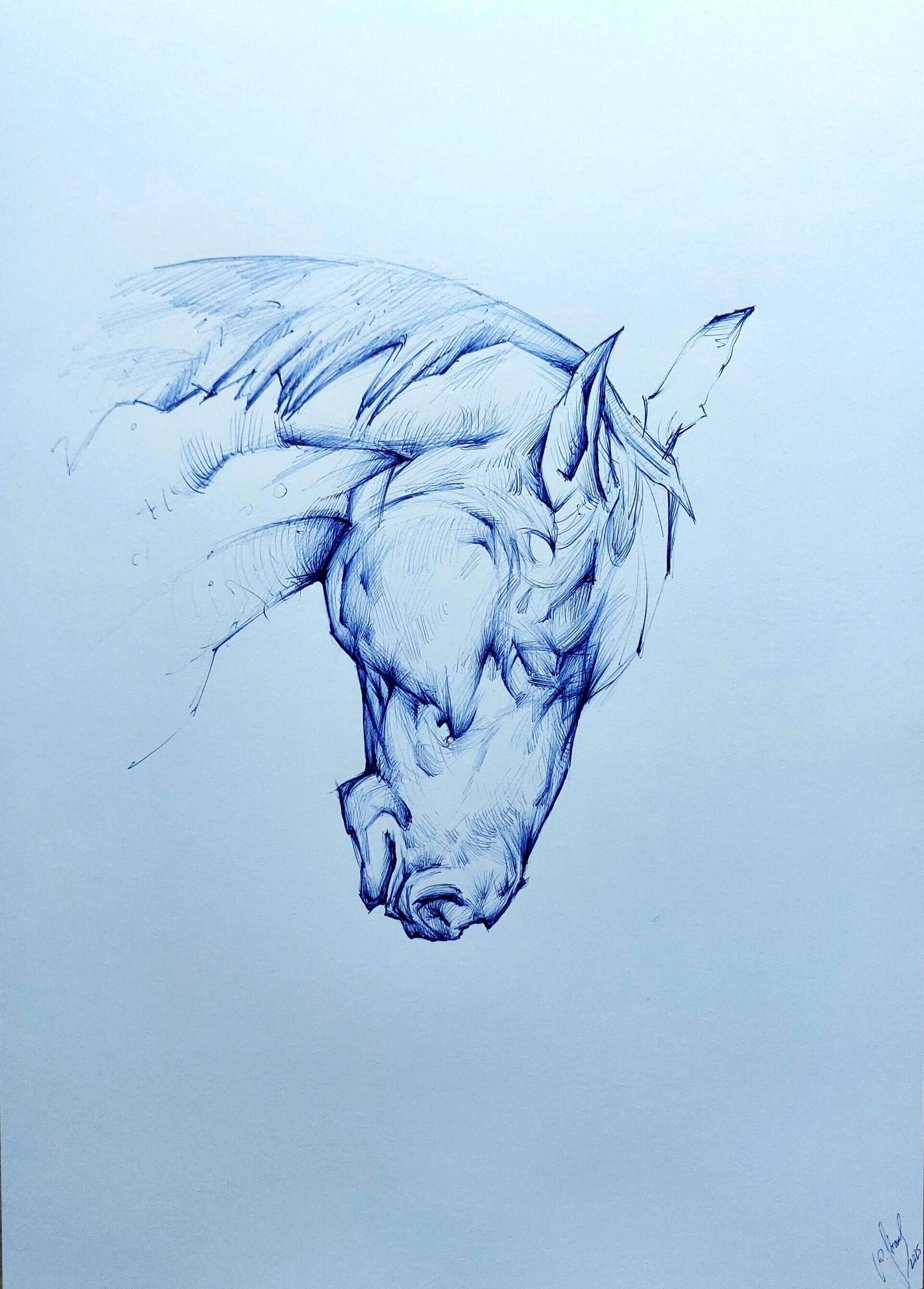 Pferdekopf - Alexander Straub 1