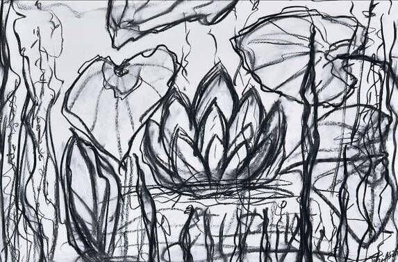 Waterlilies 20 - Martina  Schepperle  1