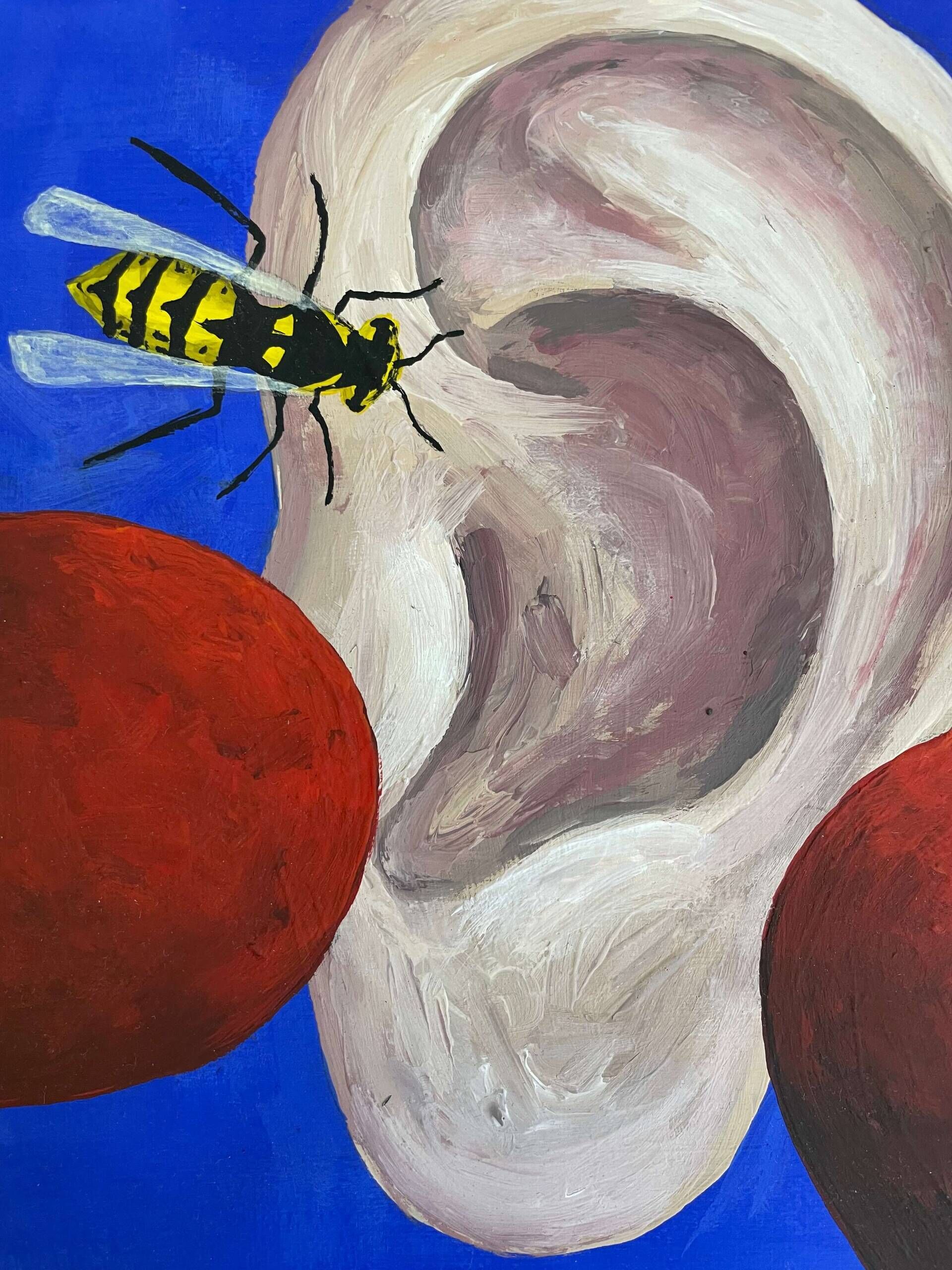 dentist  - Sarah Maria Kuhn  1
