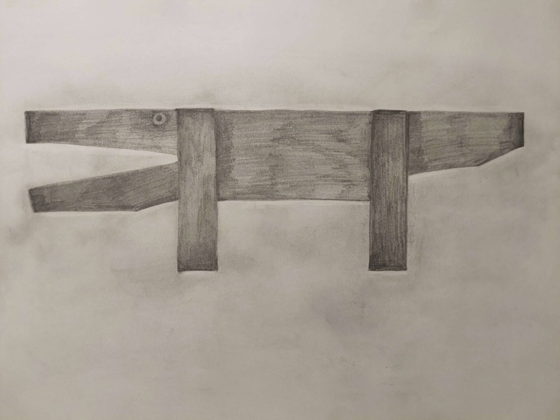Wooden crocodile - Yulia Katan 1