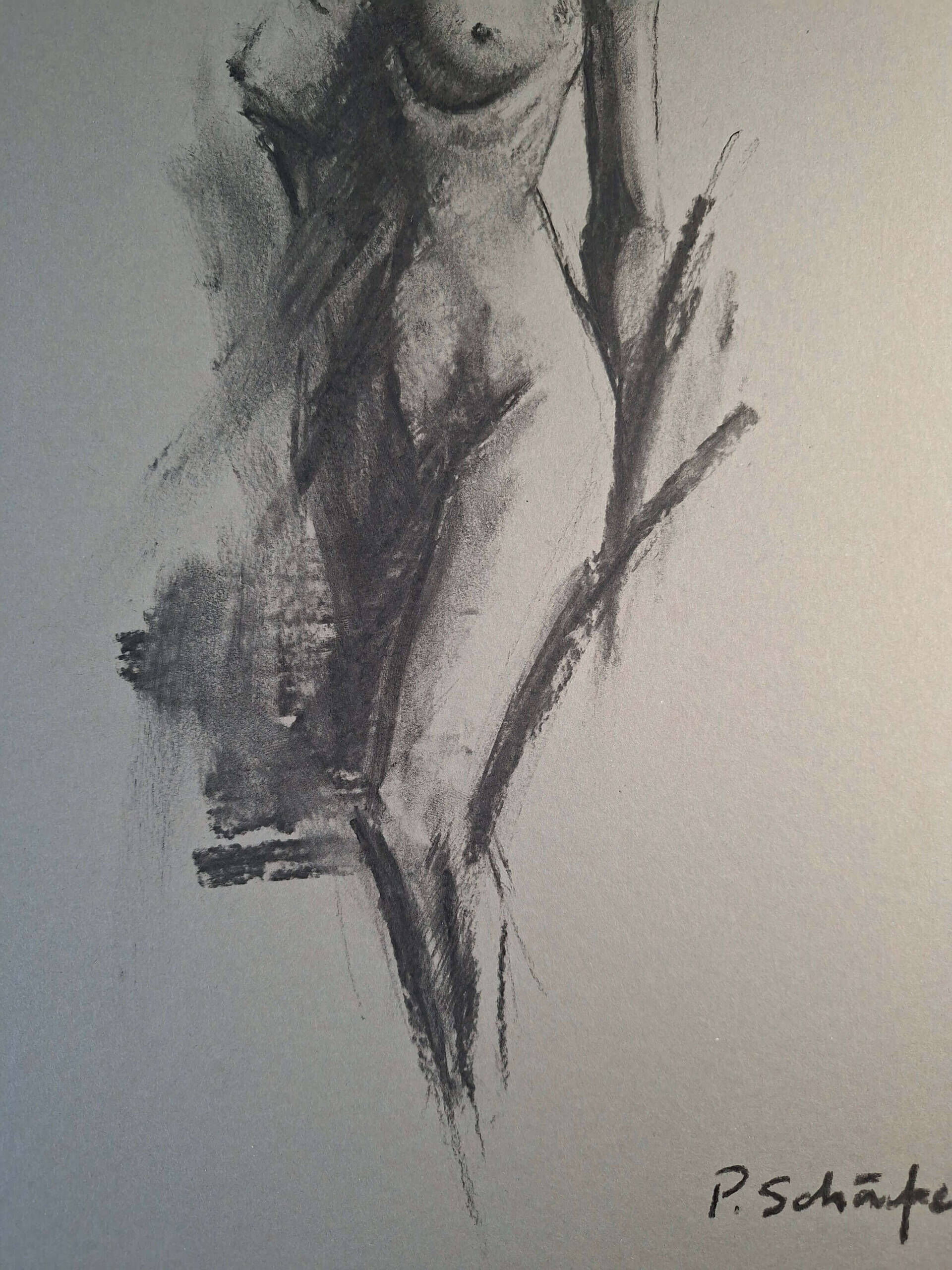 Charcoal80 - Paul Schäfer 2