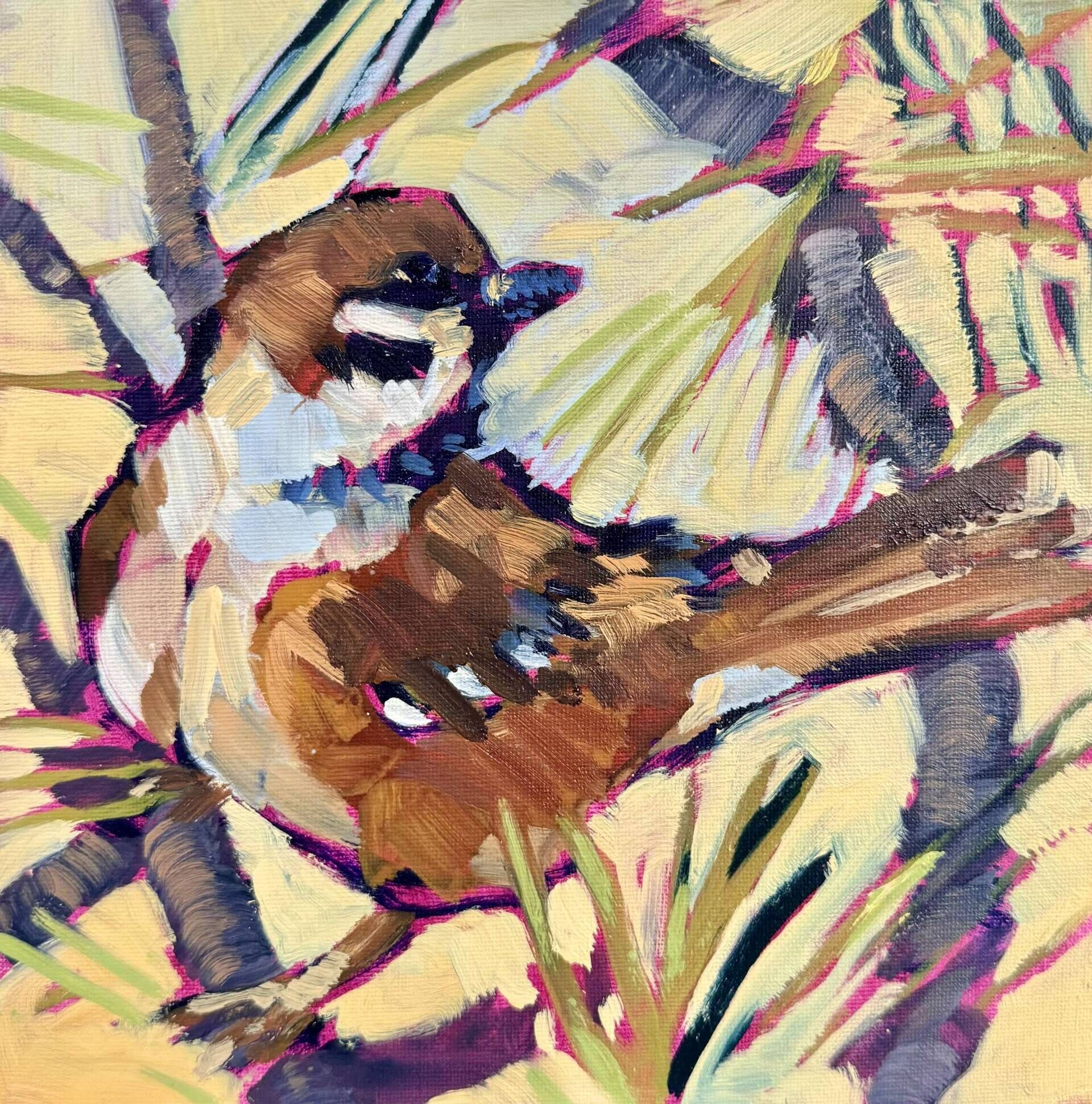Spatz im Nadelbaum - Daniel Heimgärtner 1
