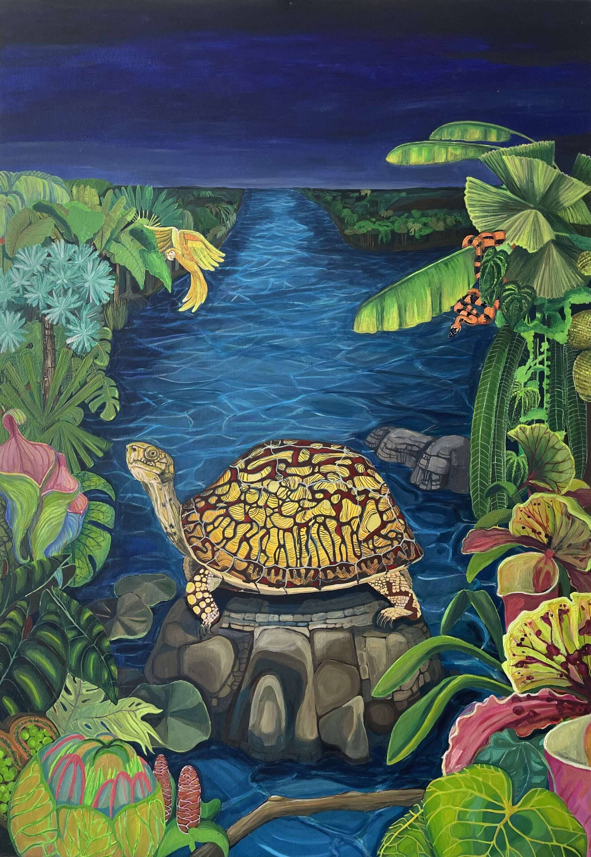 Turtle in the lagoon - Delja Wilfert 1