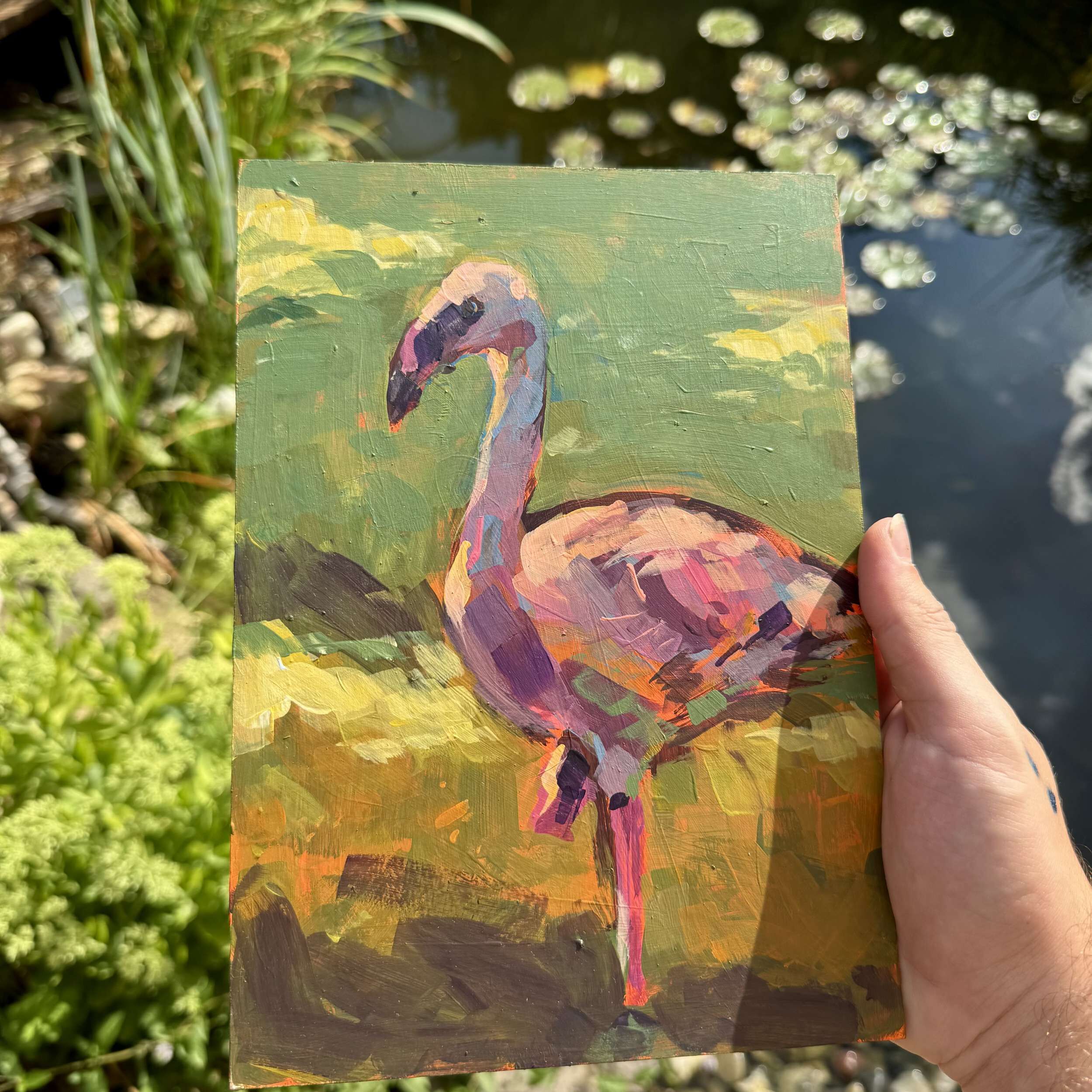 Flamingo - Daniel Heimgärtner 2