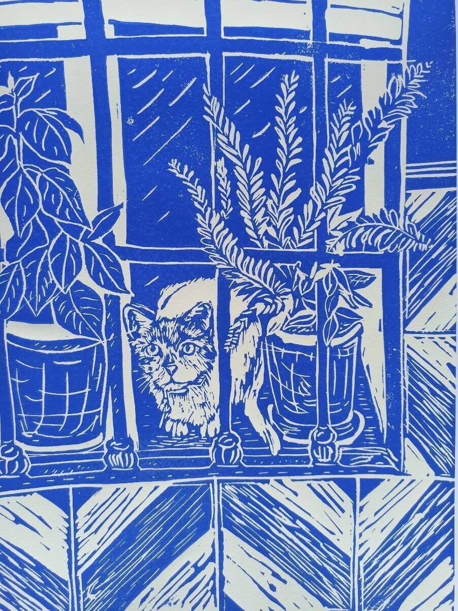 el gato andaluz