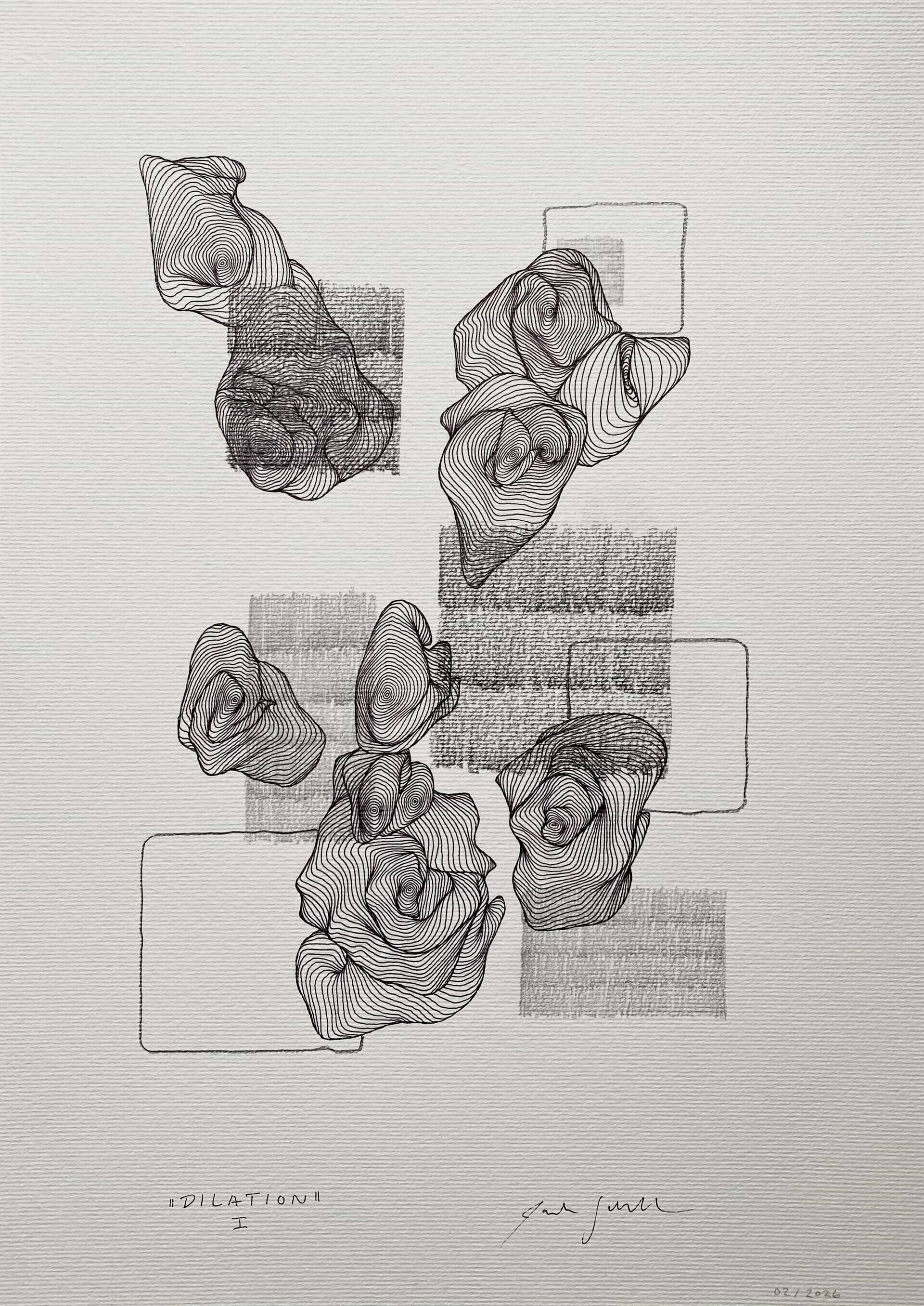 dilation I - Paula-Maryla Schmoll 1