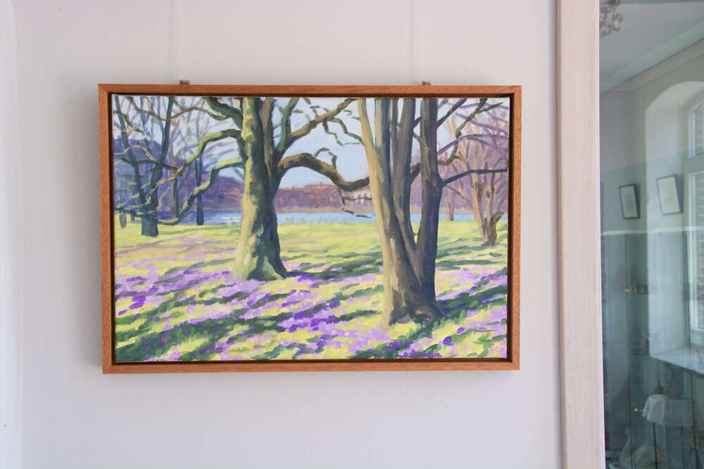 Krokusblüte im Ratsdienergarten (Kiel) - Janna Schnoor 2