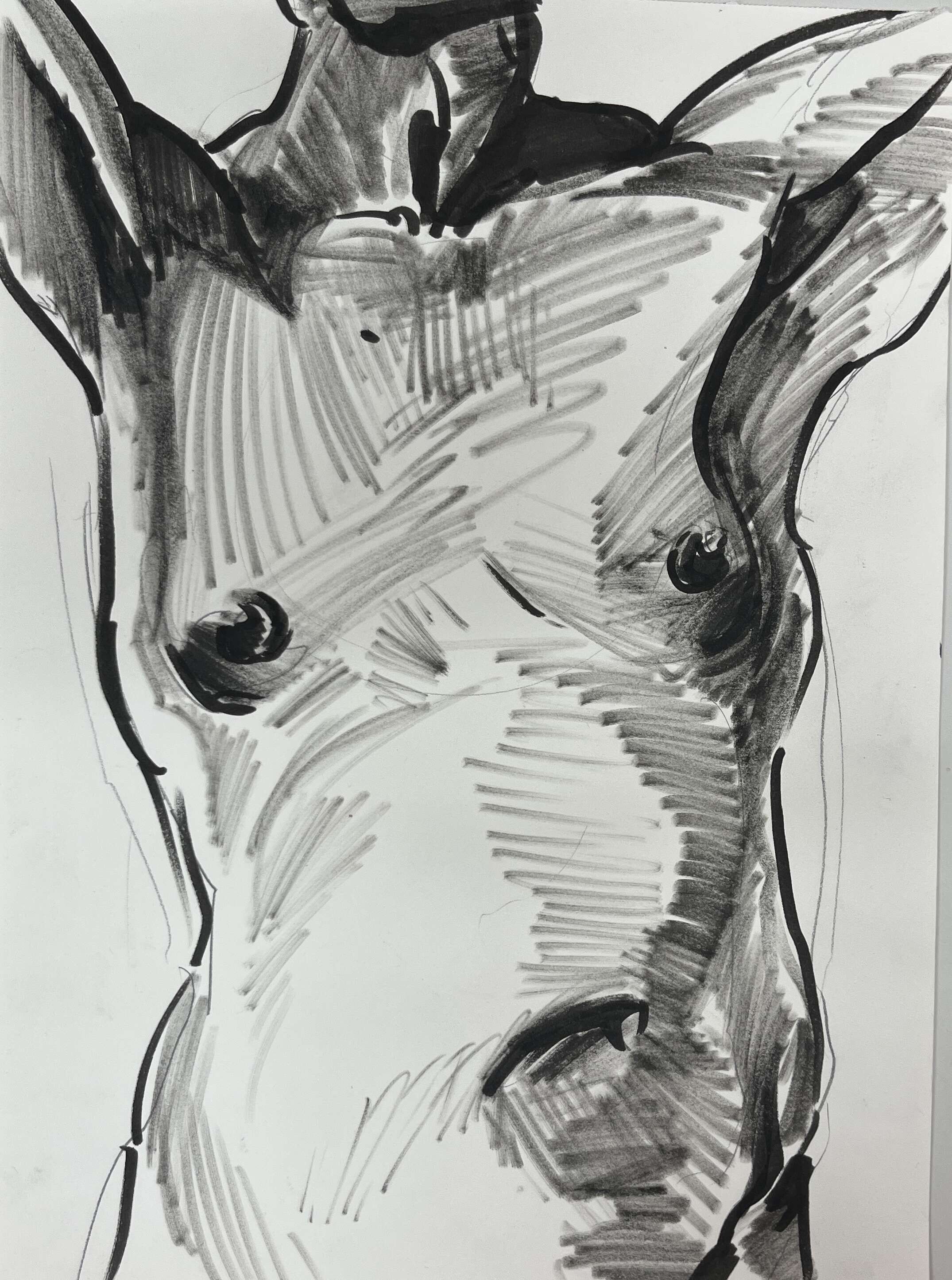 Männertorso mit erhobenen Armen - Leon Tho Barwig 1