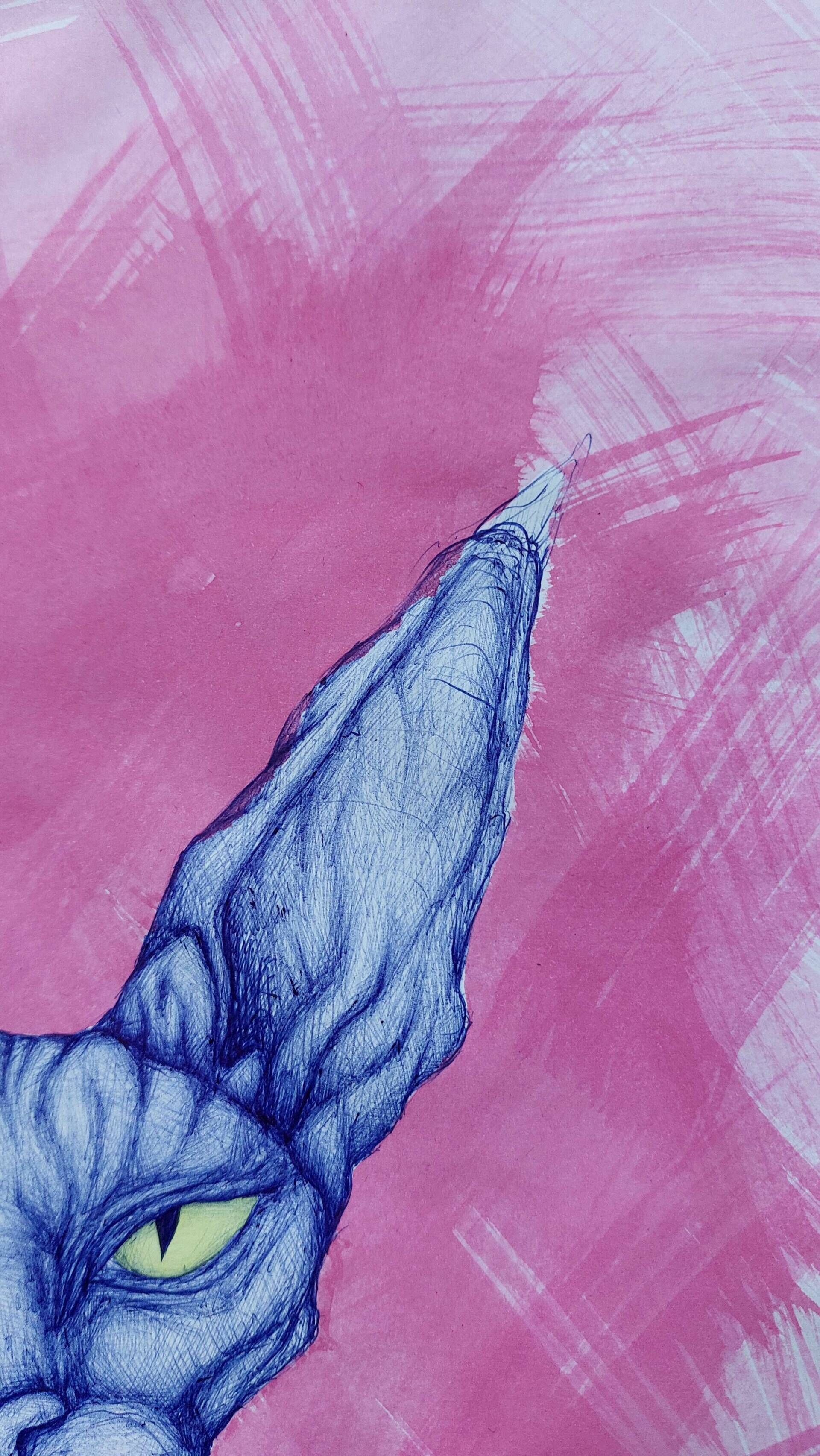 Der Blick der Katze - Alexander Straub 5