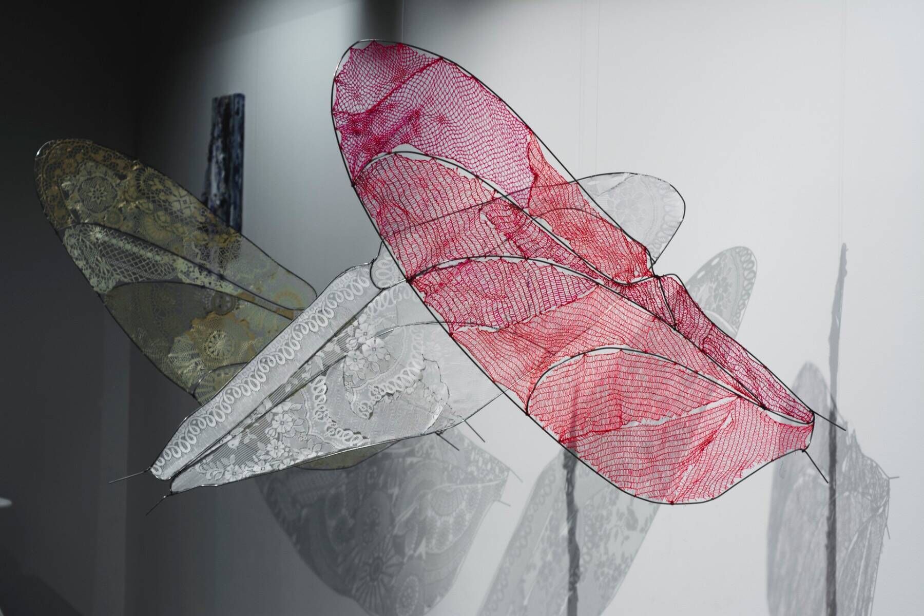 2017  Blickwinkel Eine Installation aus drei hängenden Libellenflügeln