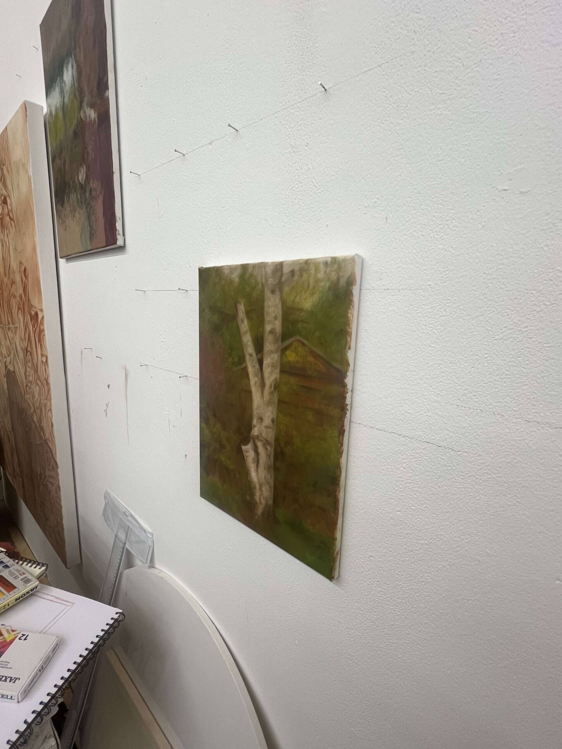 Birke Nr. 1 - Richard Ebel 2