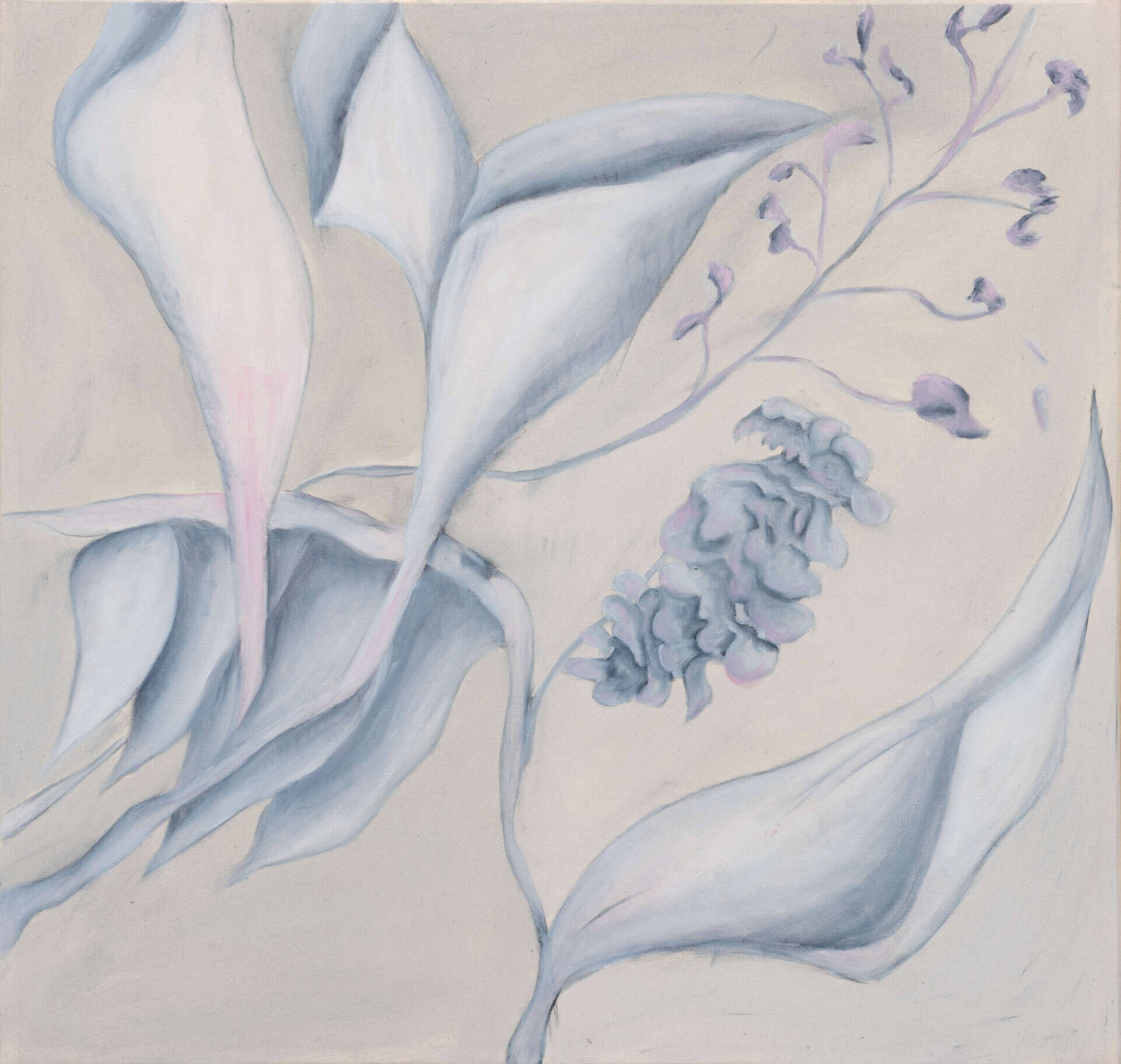 Blumen im Garten II - Jonattan Bustos 1