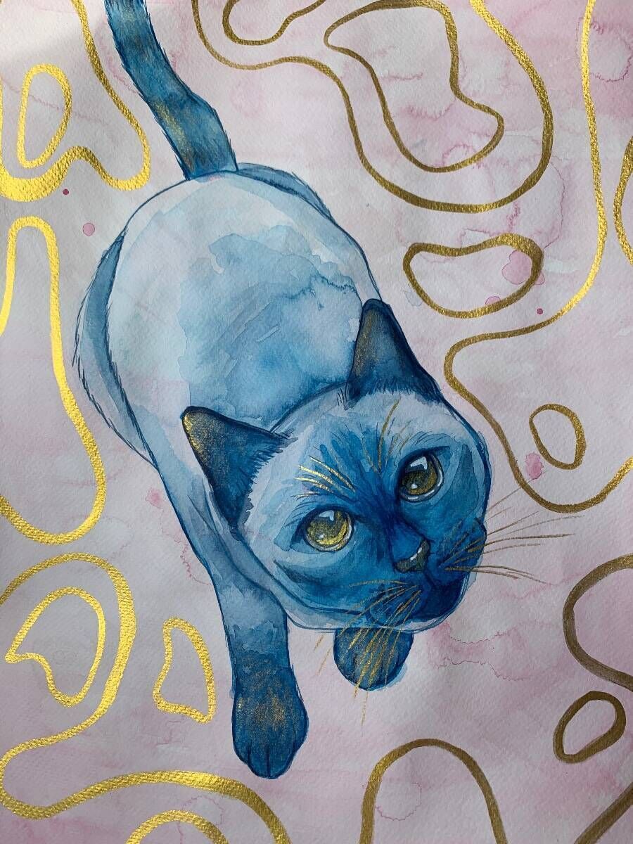 Blue Kitty