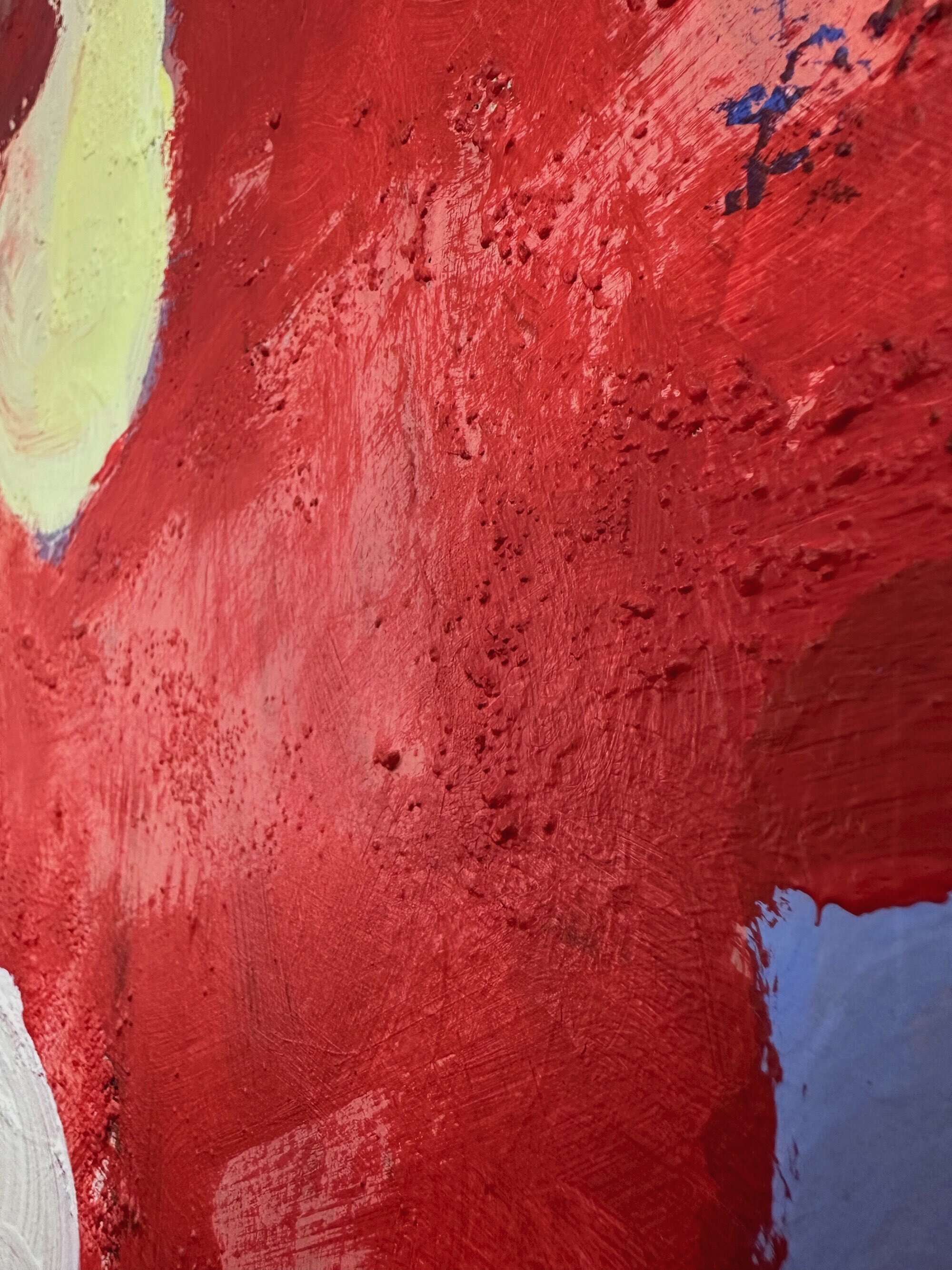 Red velvet - Elena Kok 6