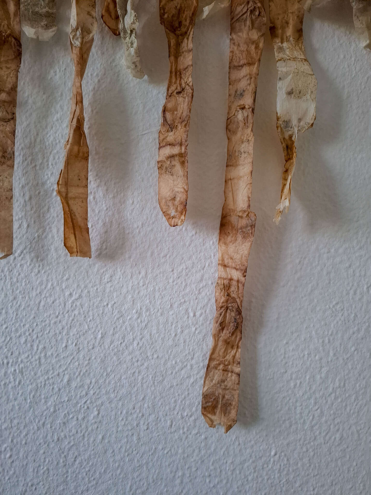 Curtain - Sofia Antoniadou 5