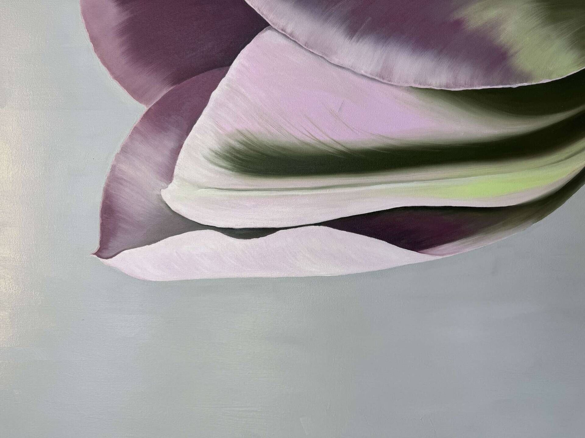 Tulpe - Julia Oleinicenko 1