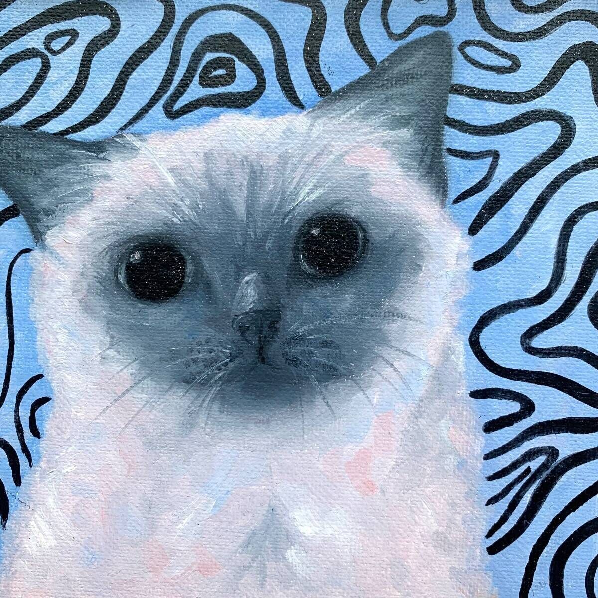 Cat with no thoughts 