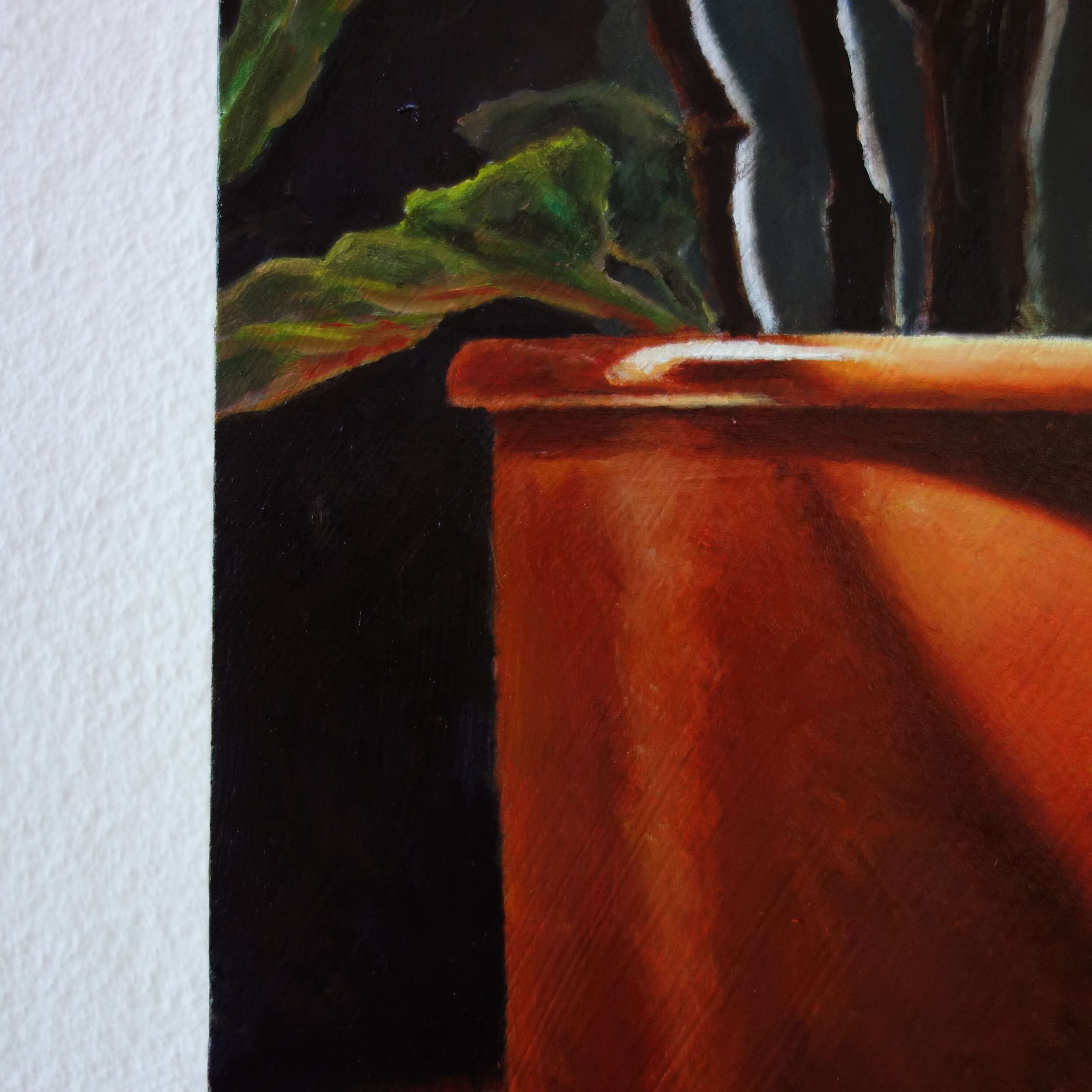Forellenbegonie - Johanna Bajog 8
