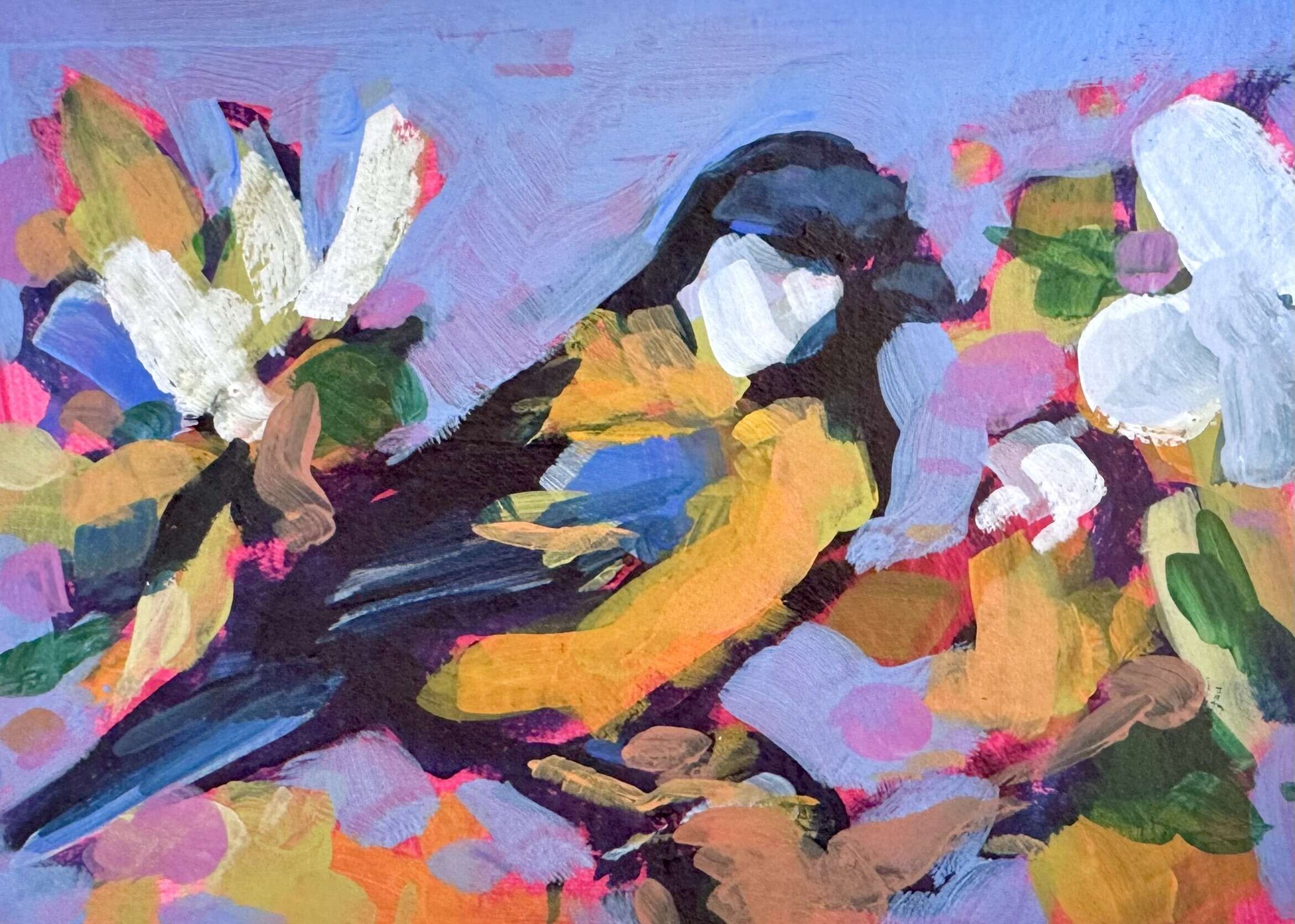 Meise im Kirschbaum - Daniel Heimgärtner 1