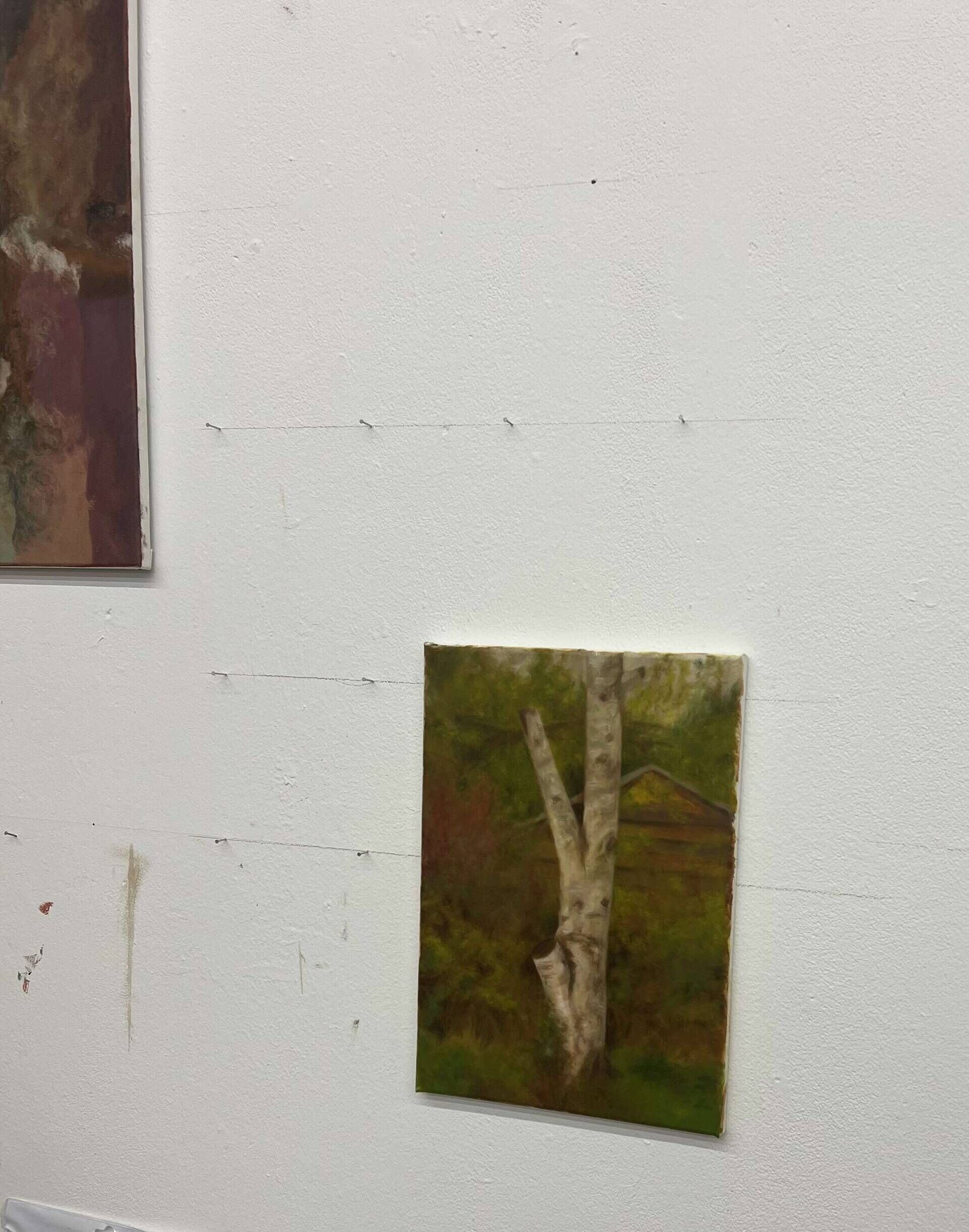 Birke Nr. 1 - Richard Ebel 4