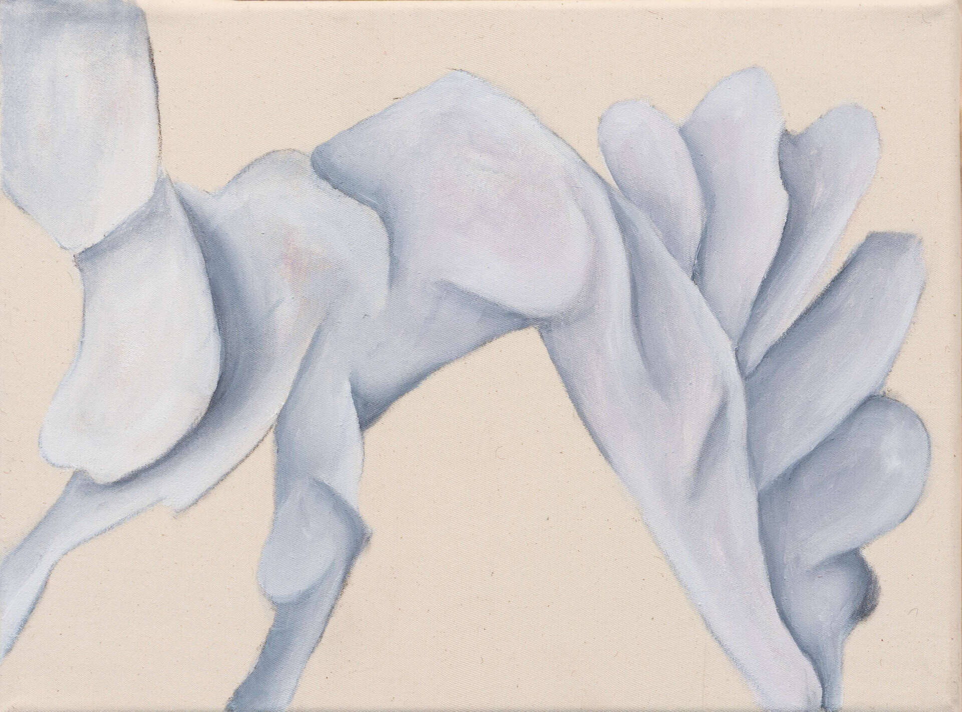 Blume - Jonattan Bustos 2