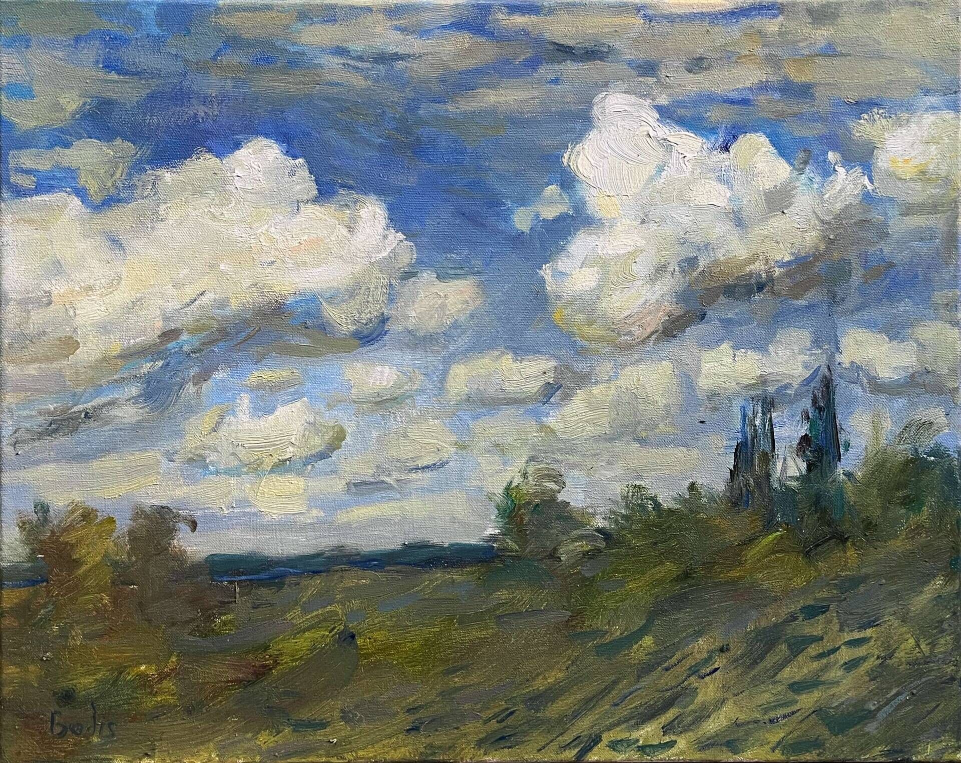 Cloudy day - Bohdan  Dobrivskyi  1