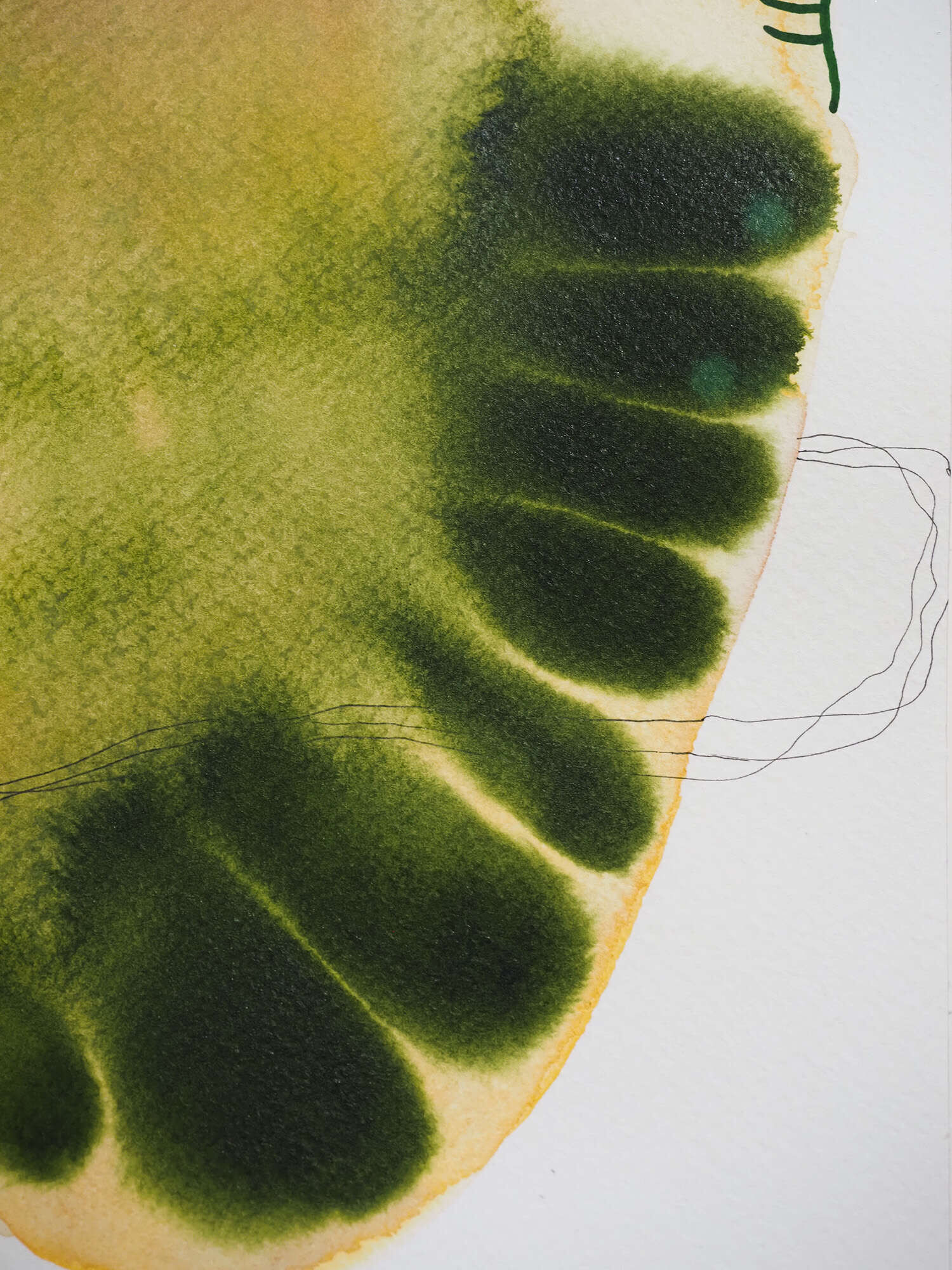 Microverse 6/12 - Vicky Anna Lardschneider 1