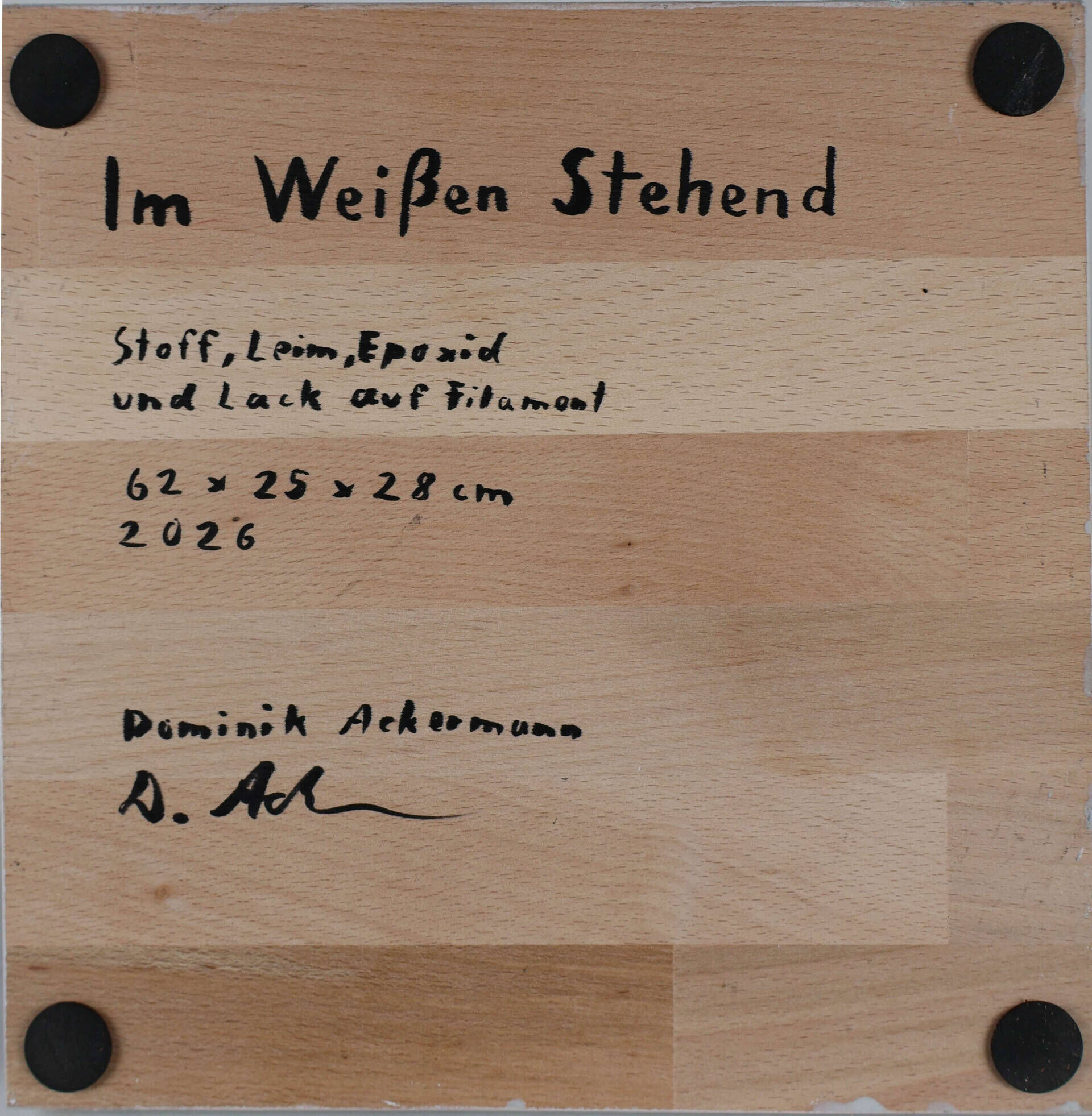 Im Weißen Stehend - Dominik Ackermann 10