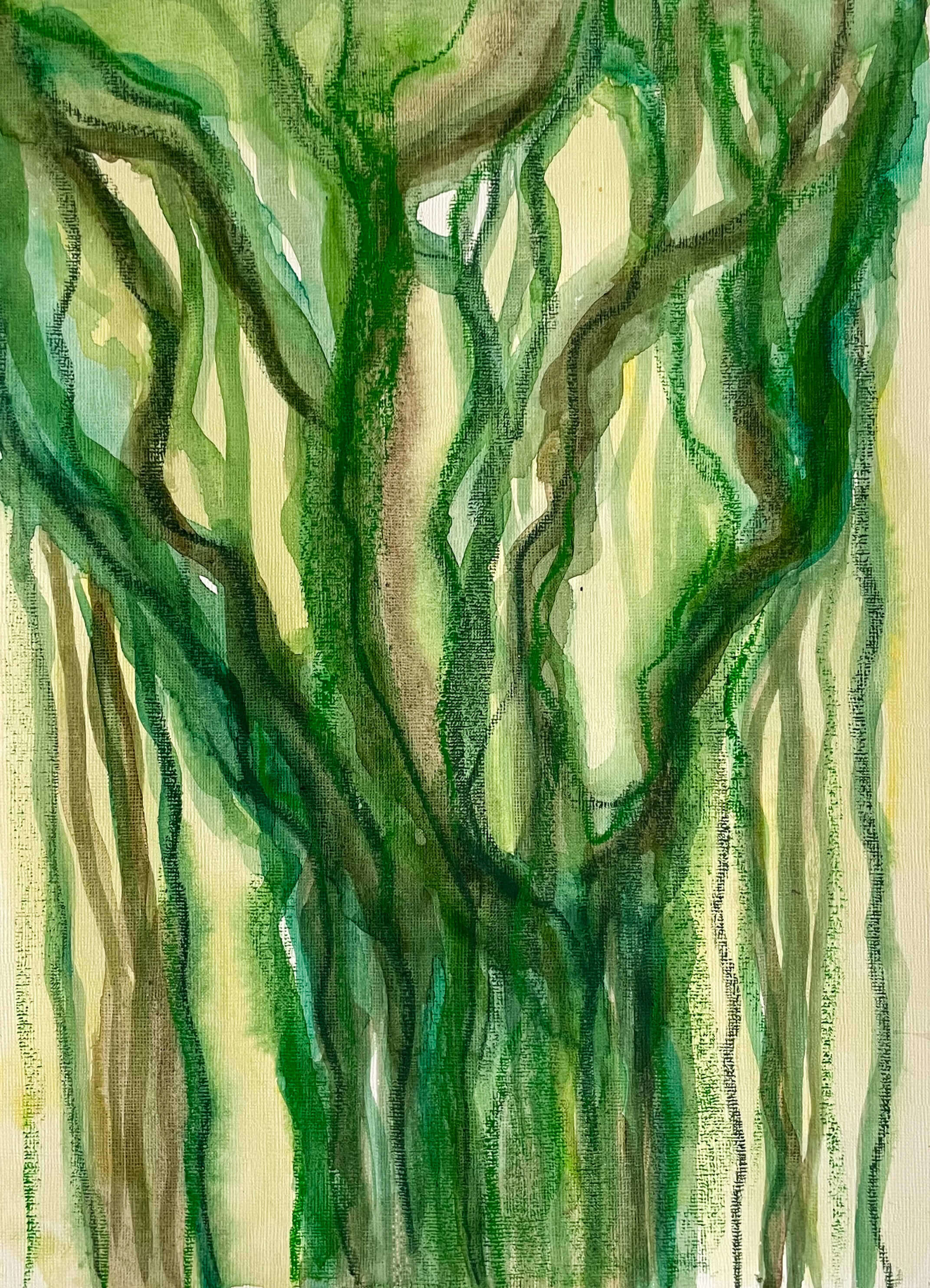 Banyan Tree 1 - Teuta Pashnjari 1
