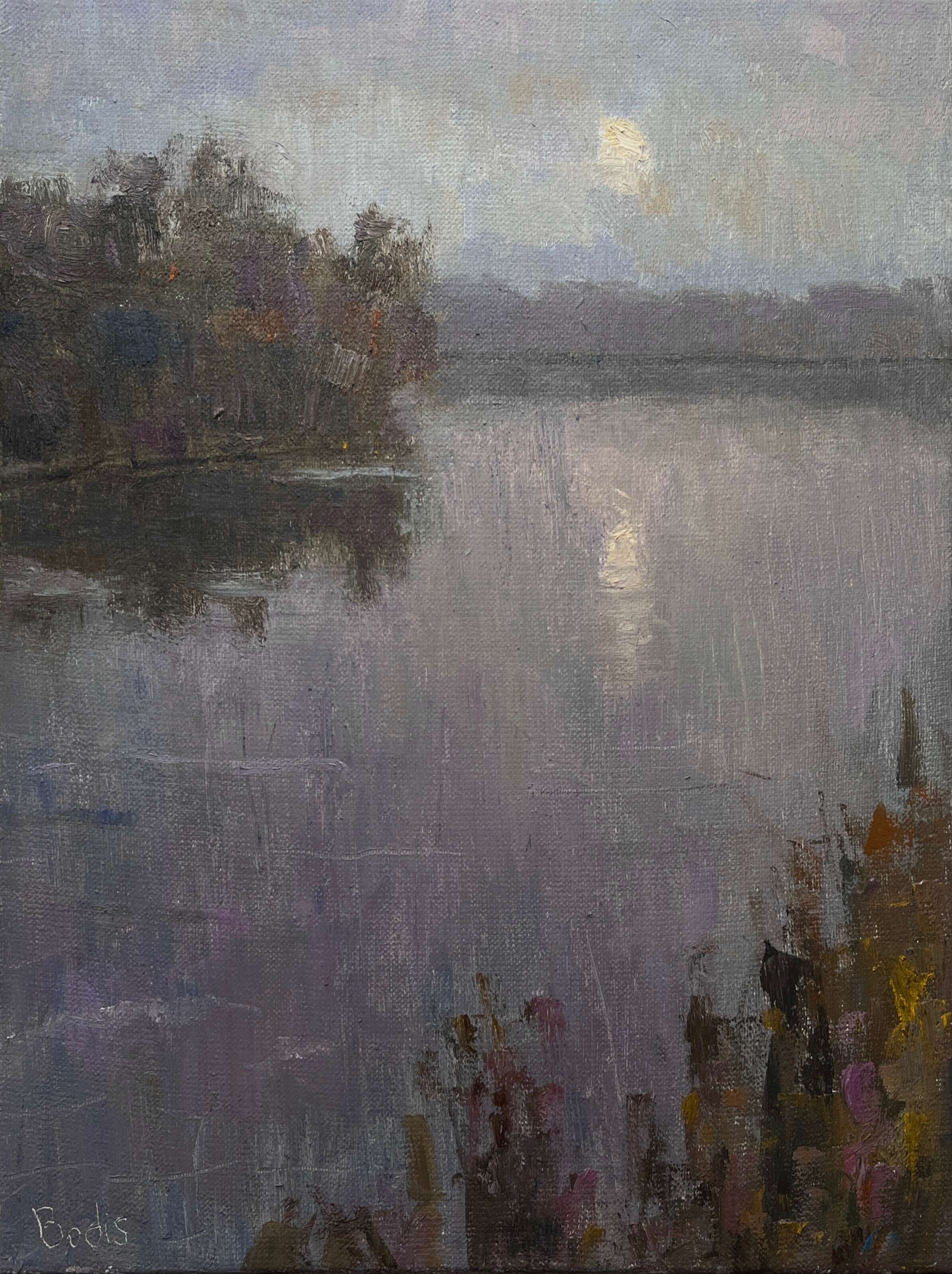 Moon over the rive - Bohdan  Dobrivskyi  1