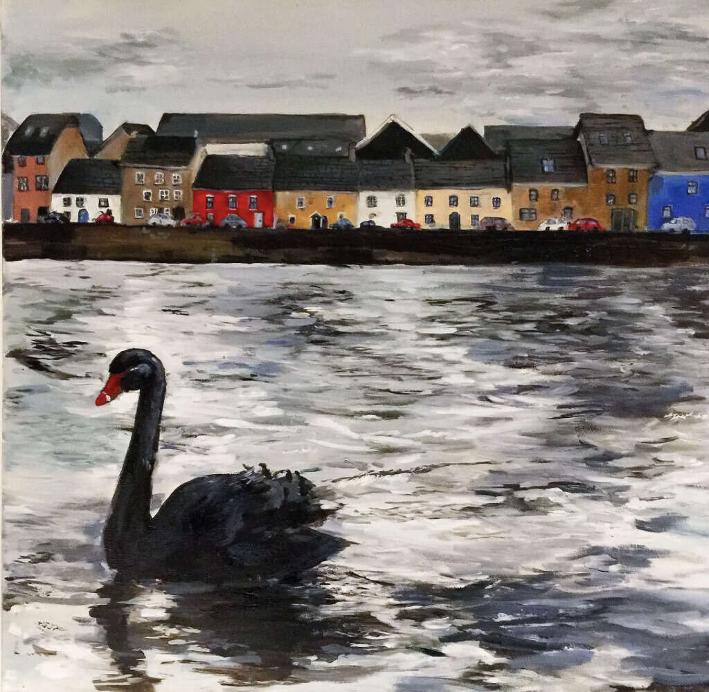 Black swan of Galway - Judit Flamich 1