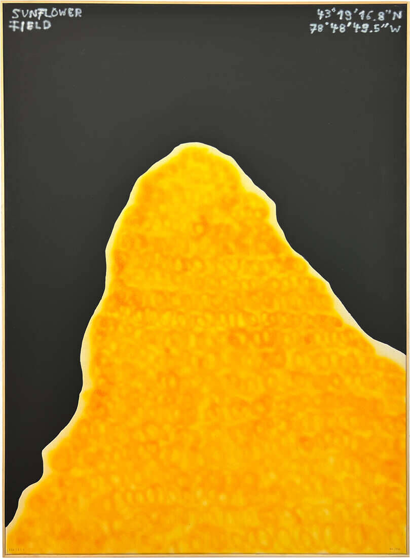 226 I 6 I 1 - Lukas Rosen 2