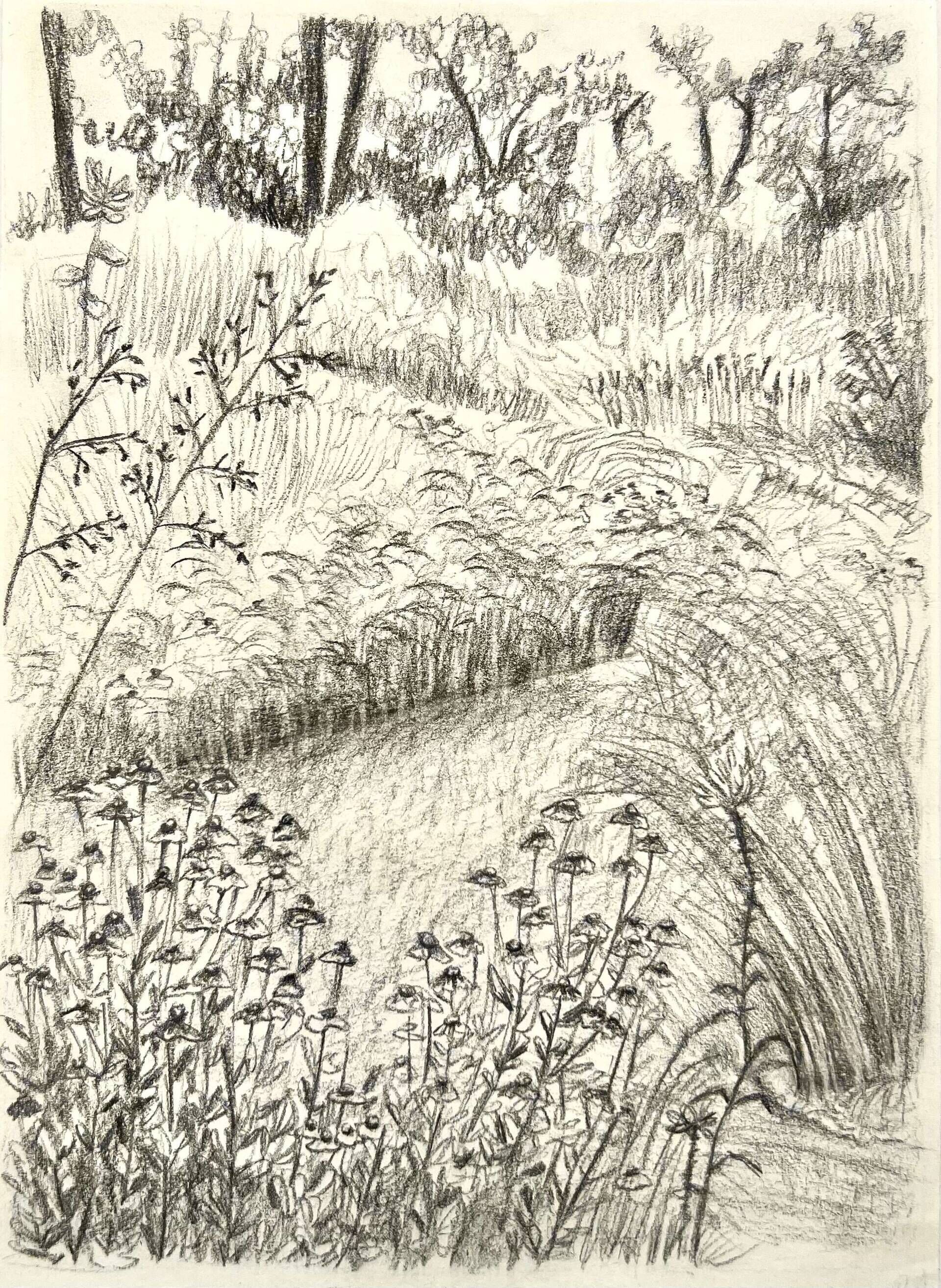 Flusslauf - Paula Victoria Aldea 1