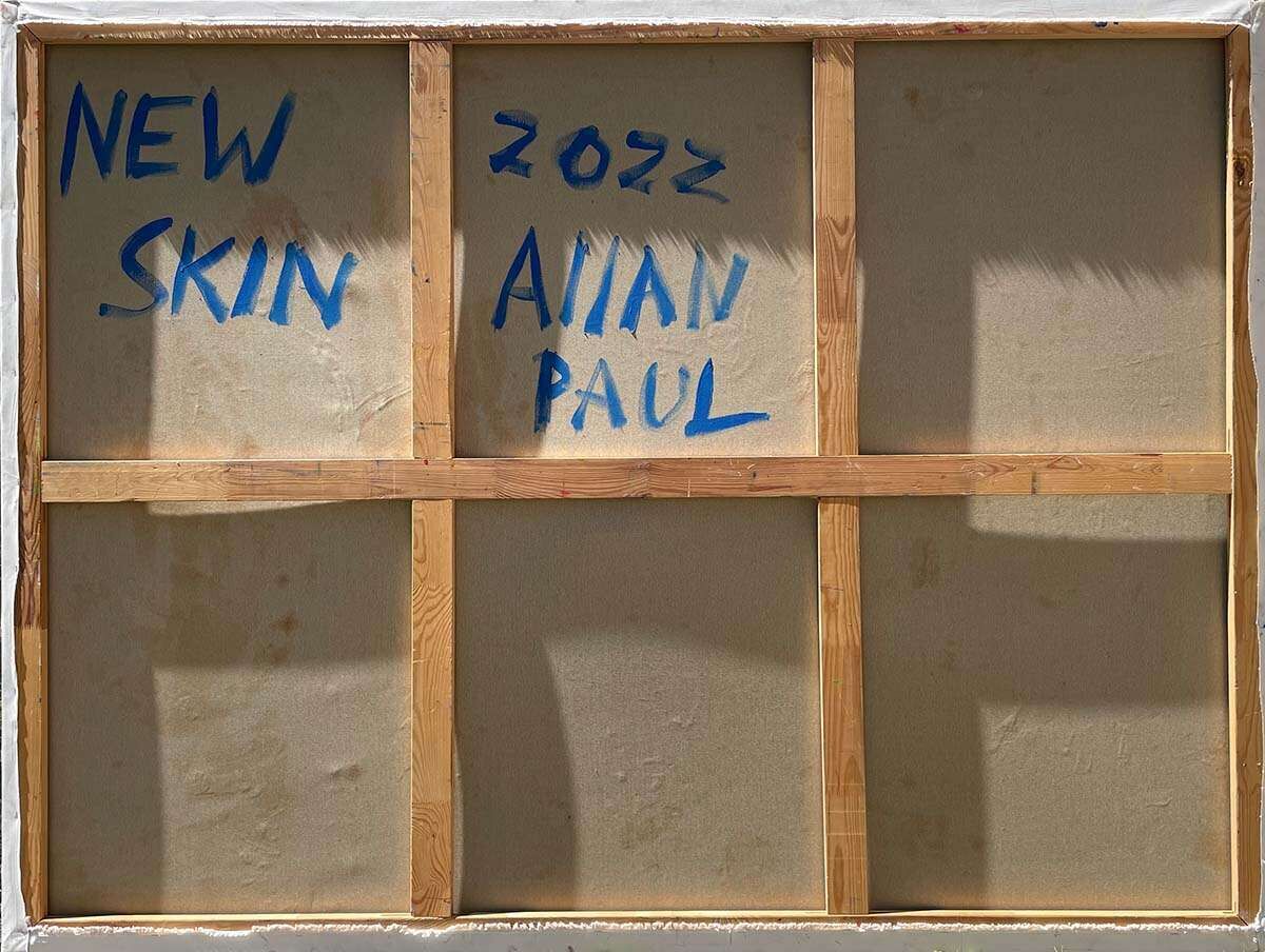 New skin  - Allan Paul  2