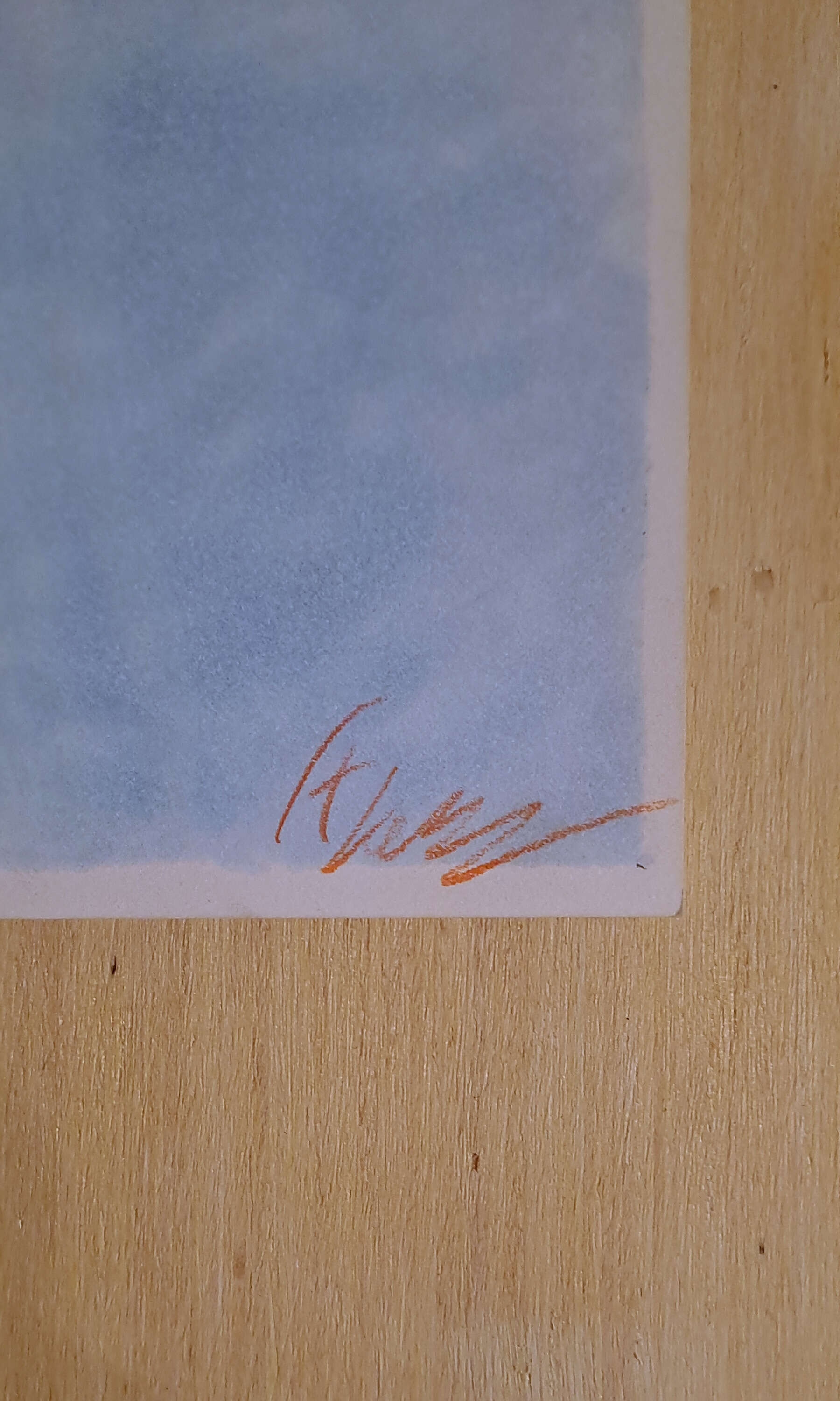 Cicada on Dahlia - Thomas Lorenz 3