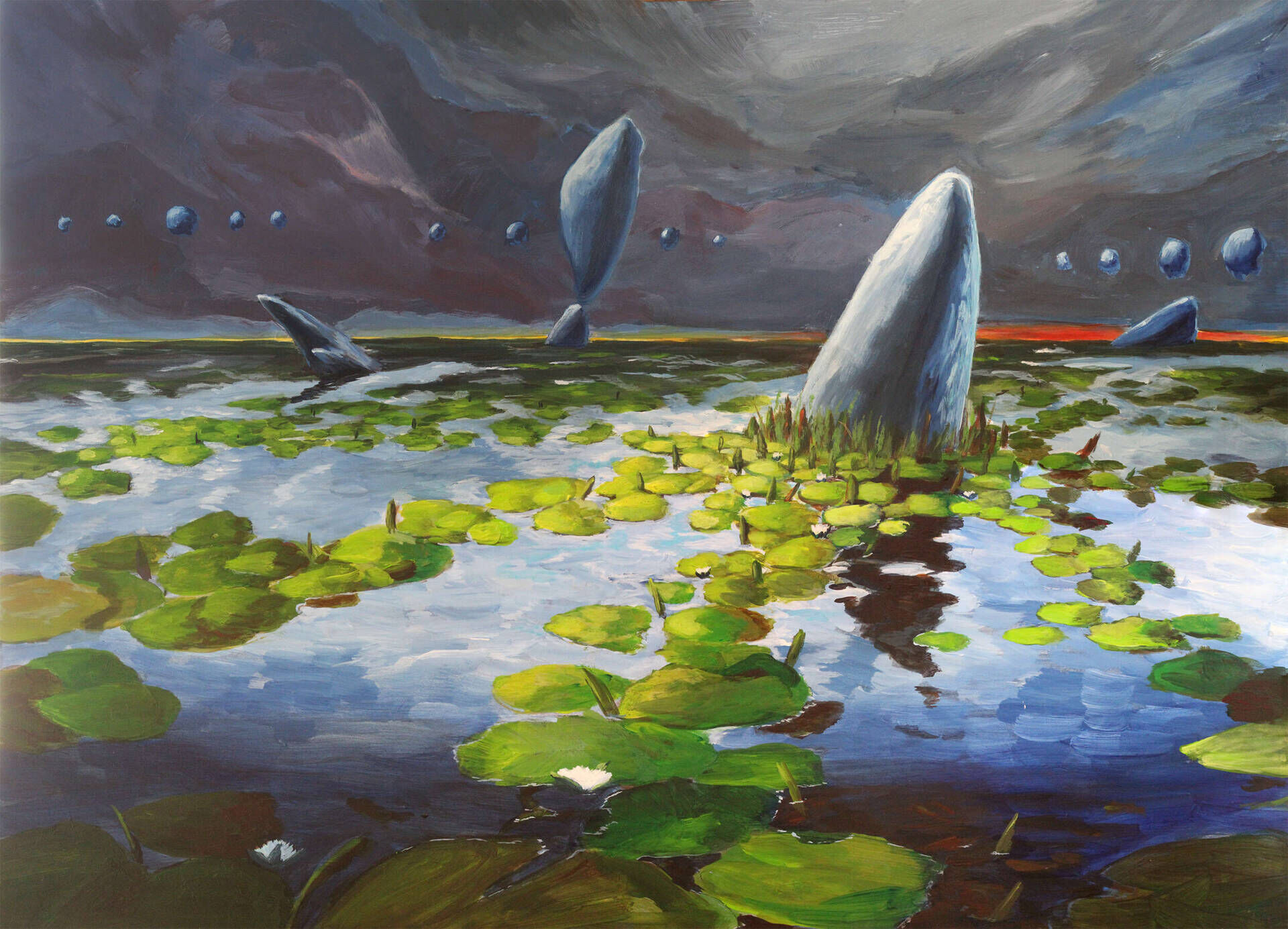 Seerosen - Tom Peter 4