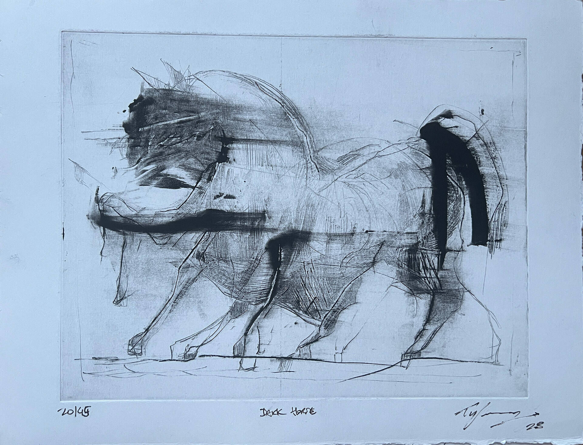 dark horse  - Tyler Heidenwag 1