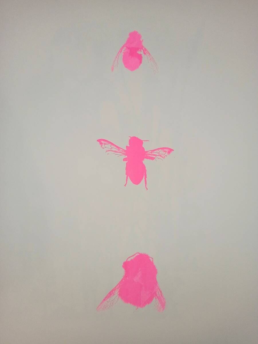 Fliege, Biene und Hummel