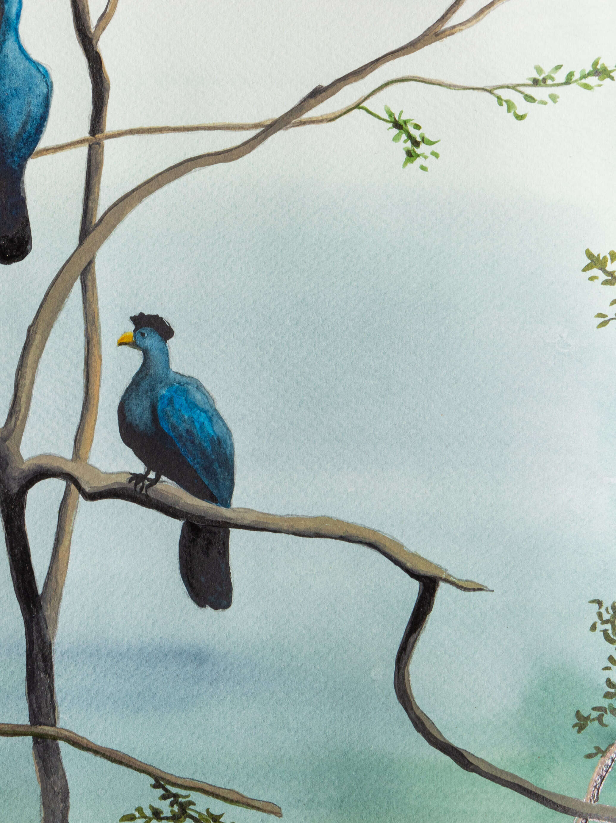 birds in the break of dawn - Alina Beck 2